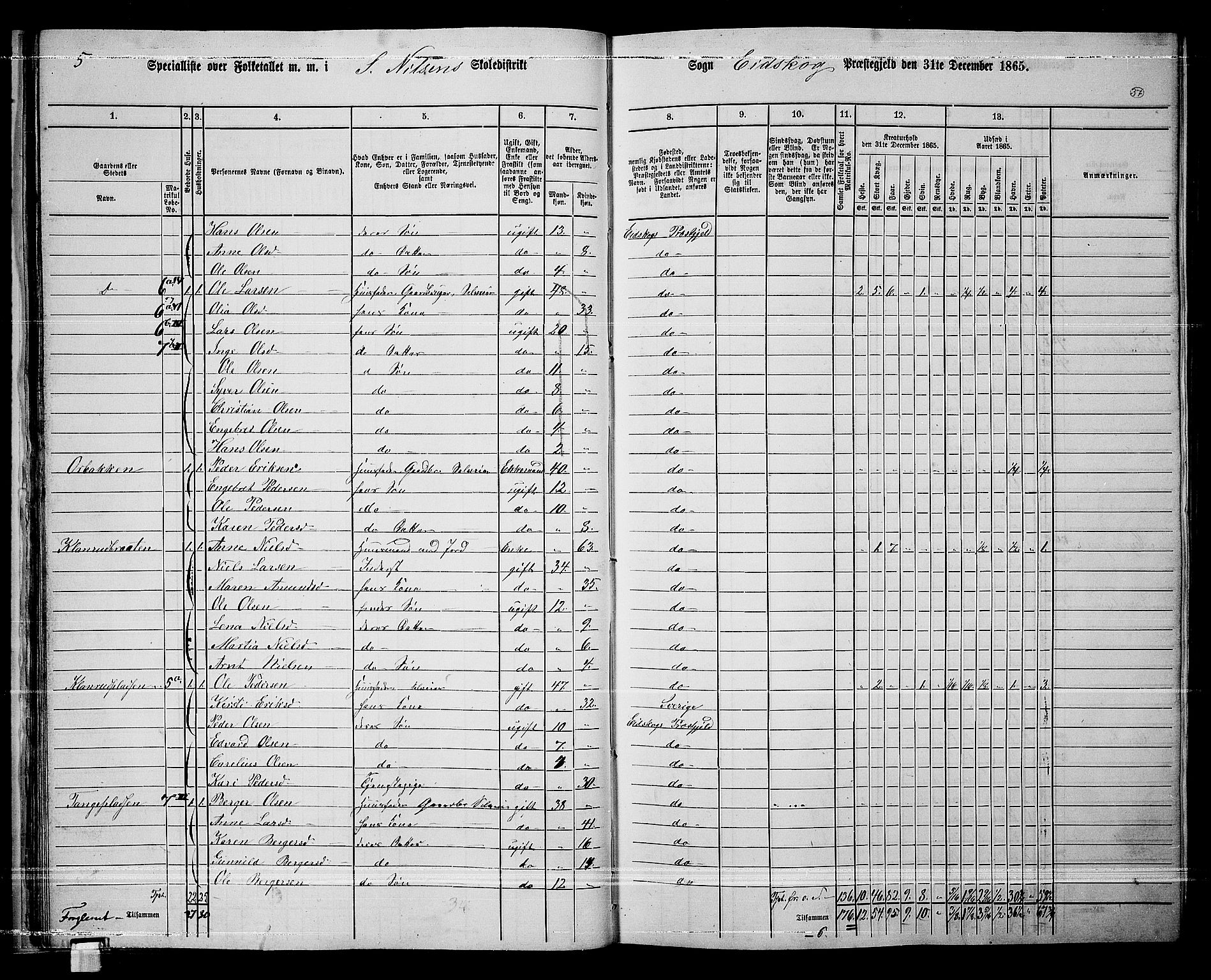 RA, Folketelling 1865 for 0420P Eidskog prestegjeld, 1865, s. 35