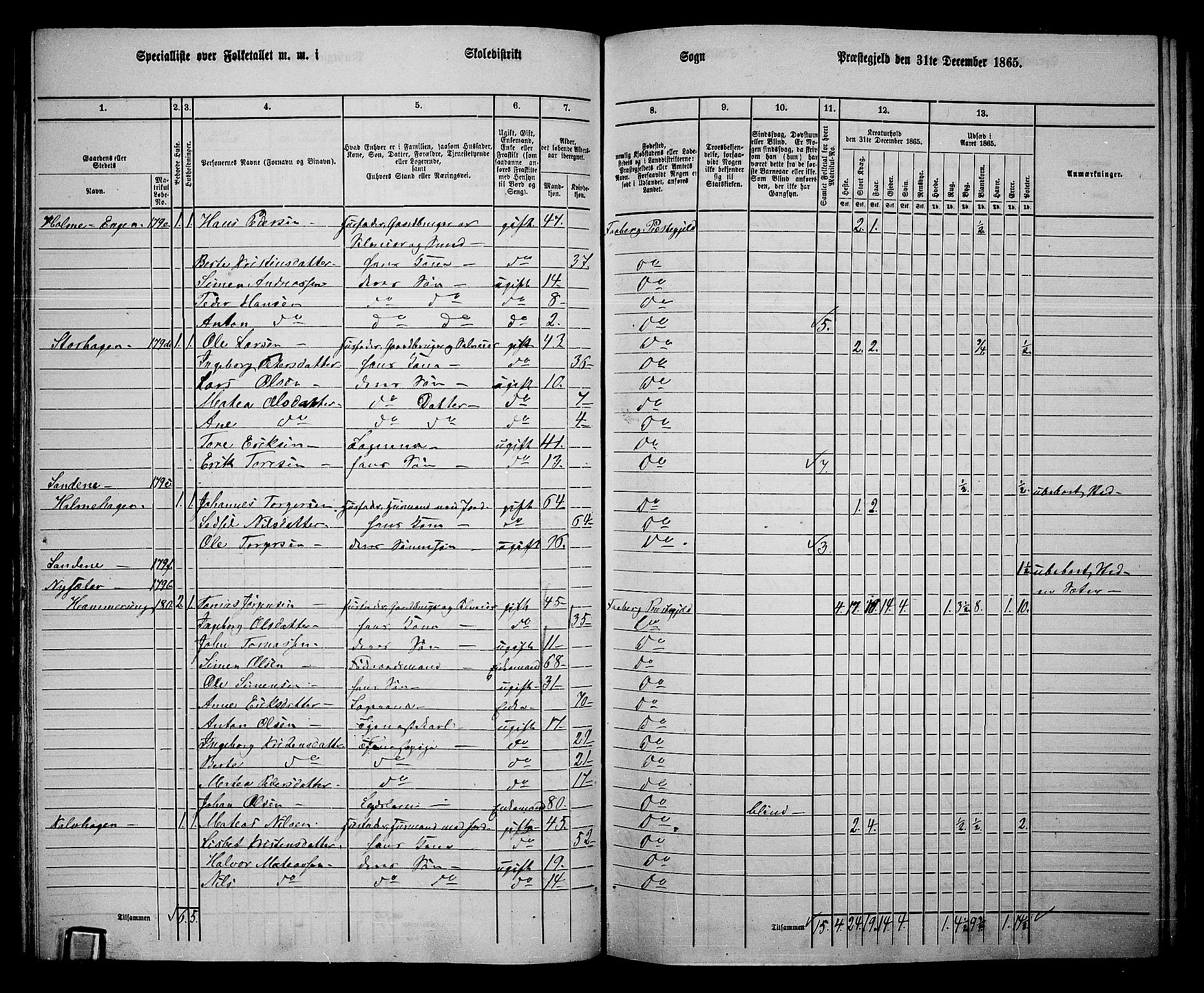 RA, Folketelling 1865 for 0524L Fåberg prestegjeld, Fåberg sokn og Lillehammer landsokn, 1865, s. 116