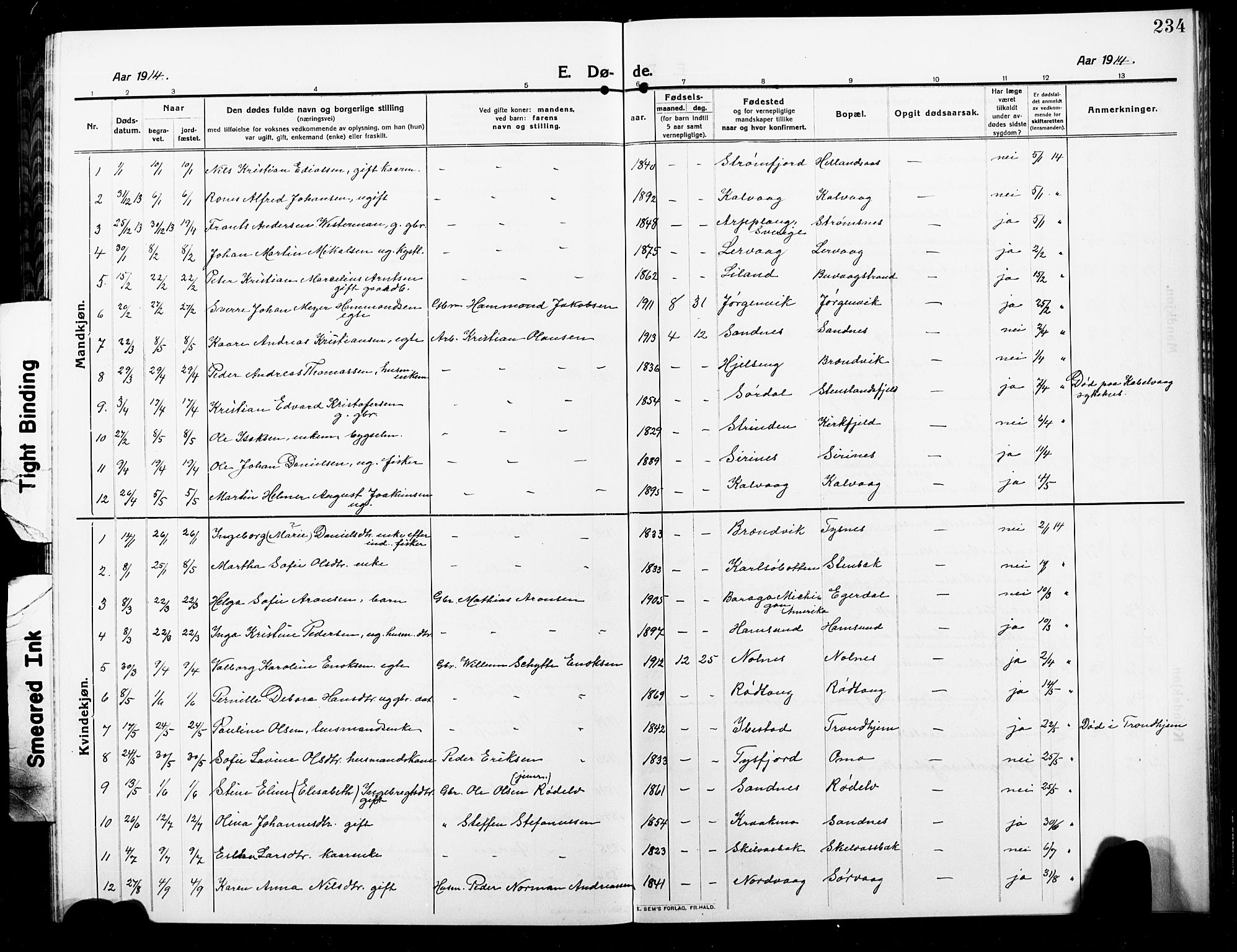 Ministerialprotokoller, klokkerbøker og fødselsregistre - Nordland, AV/SAT-A-1459/859/L0861: Klokkerbok nr. 859C07, 1910-1925, s. 234