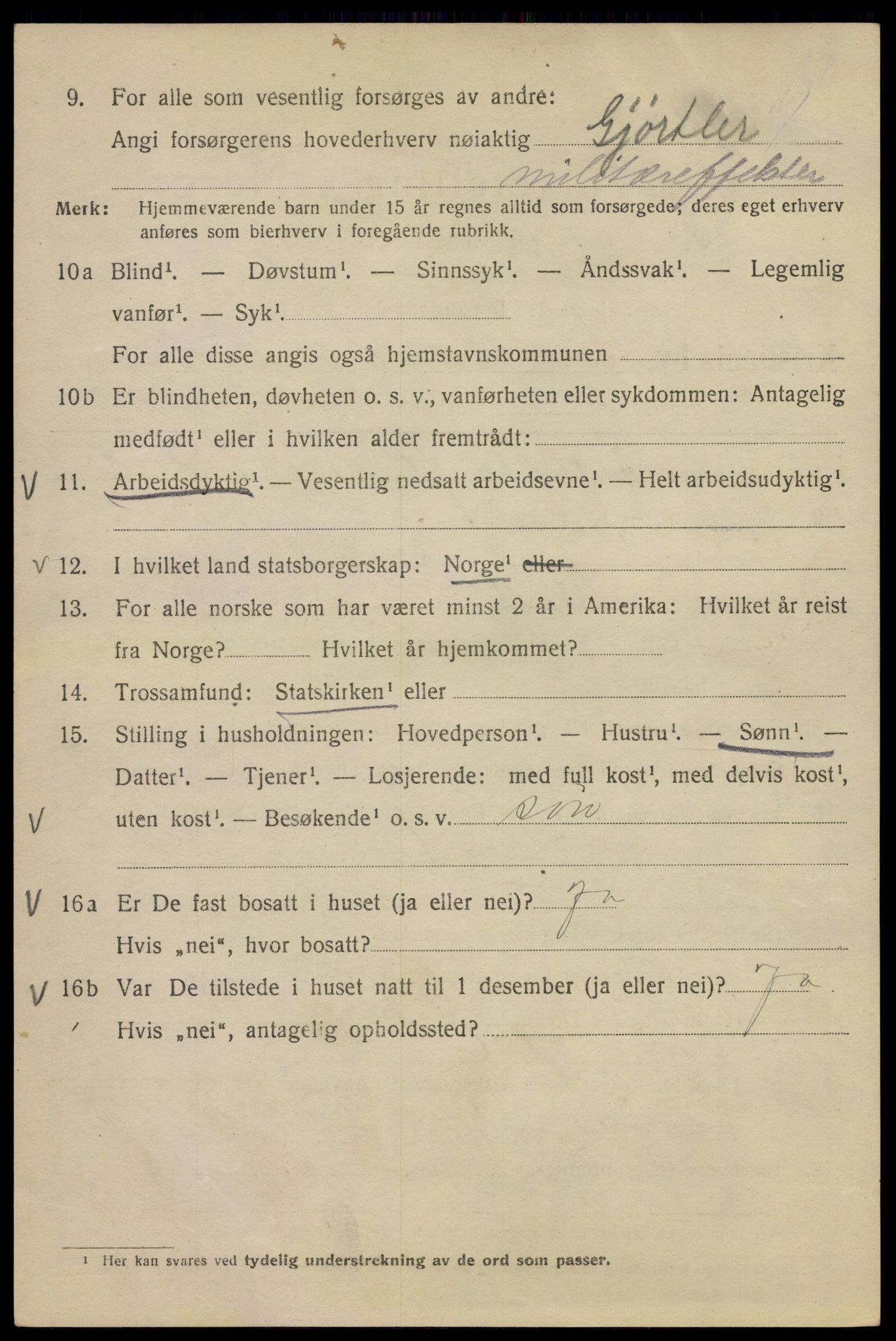 SAO, Folketelling 1920 for 0301 Kristiania kjøpstad, 1920, s. 294018