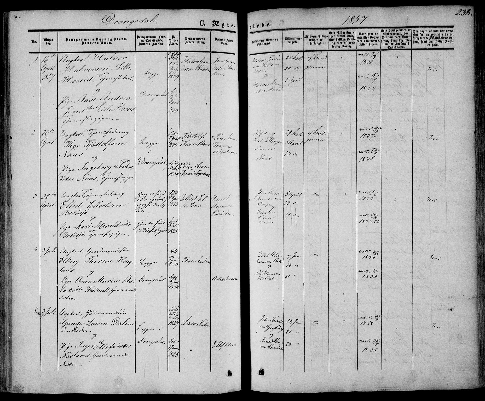 Drangedal kirkebøker, AV/SAKO-A-258/F/Fa/L0008: Ministerialbok nr. 8, 1857-1871, s. 238