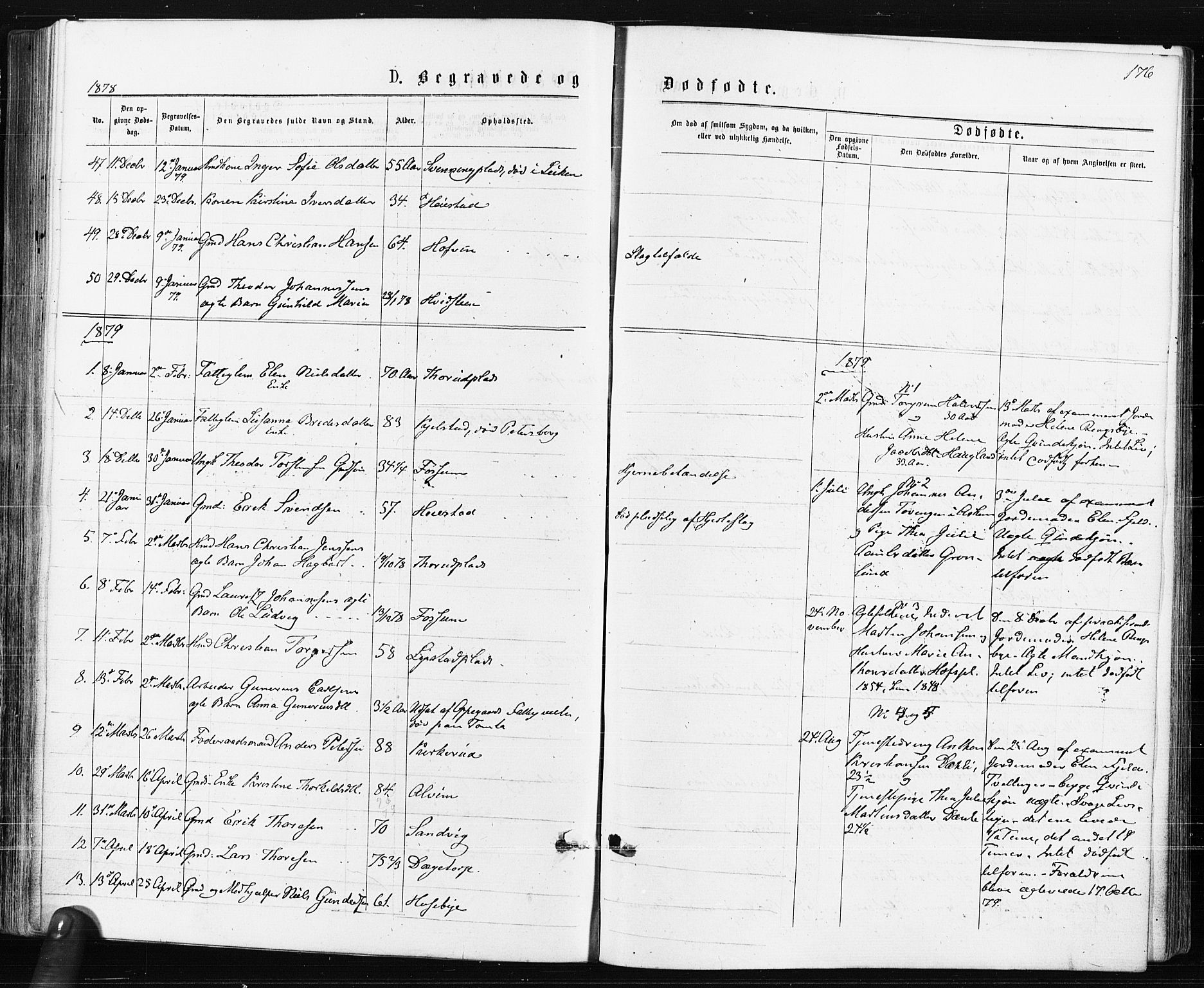 Spydeberg prestekontor Kirkebøker, SAO/A-10924/F/Fa/L0007: Ministerialbok nr. I 7, 1875-1885, s. 176