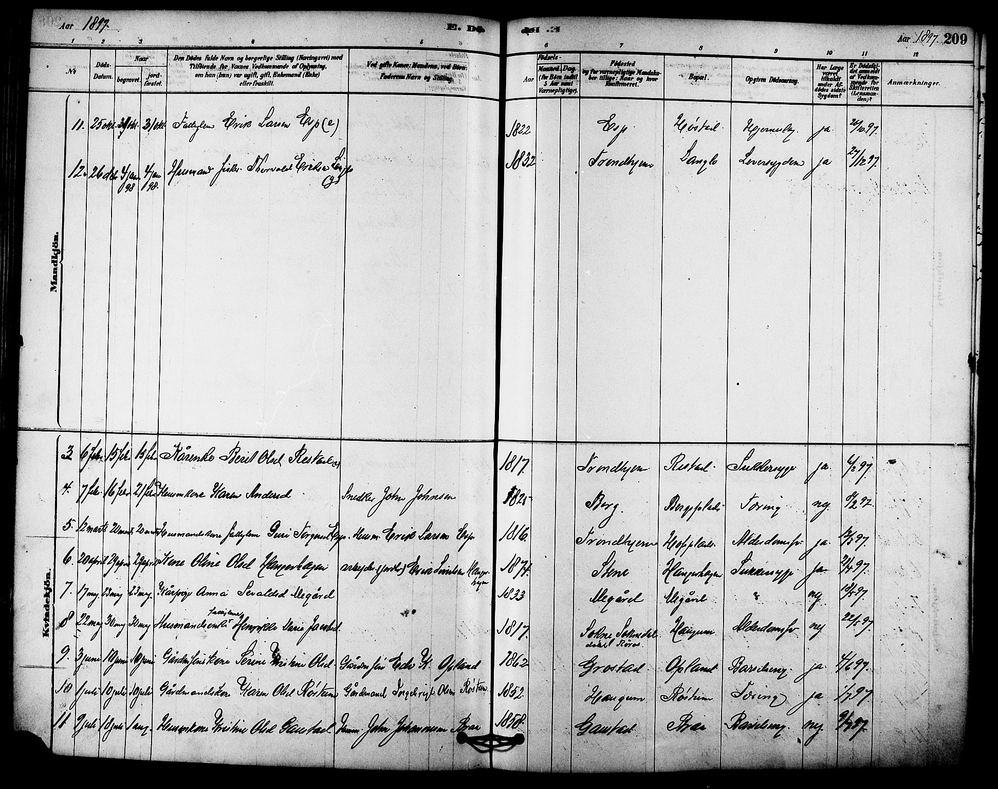 Ministerialprotokoller, klokkerbøker og fødselsregistre - Sør-Trøndelag, SAT/A-1456/612/L0378: Ministerialbok nr. 612A10, 1878-1897, s. 209