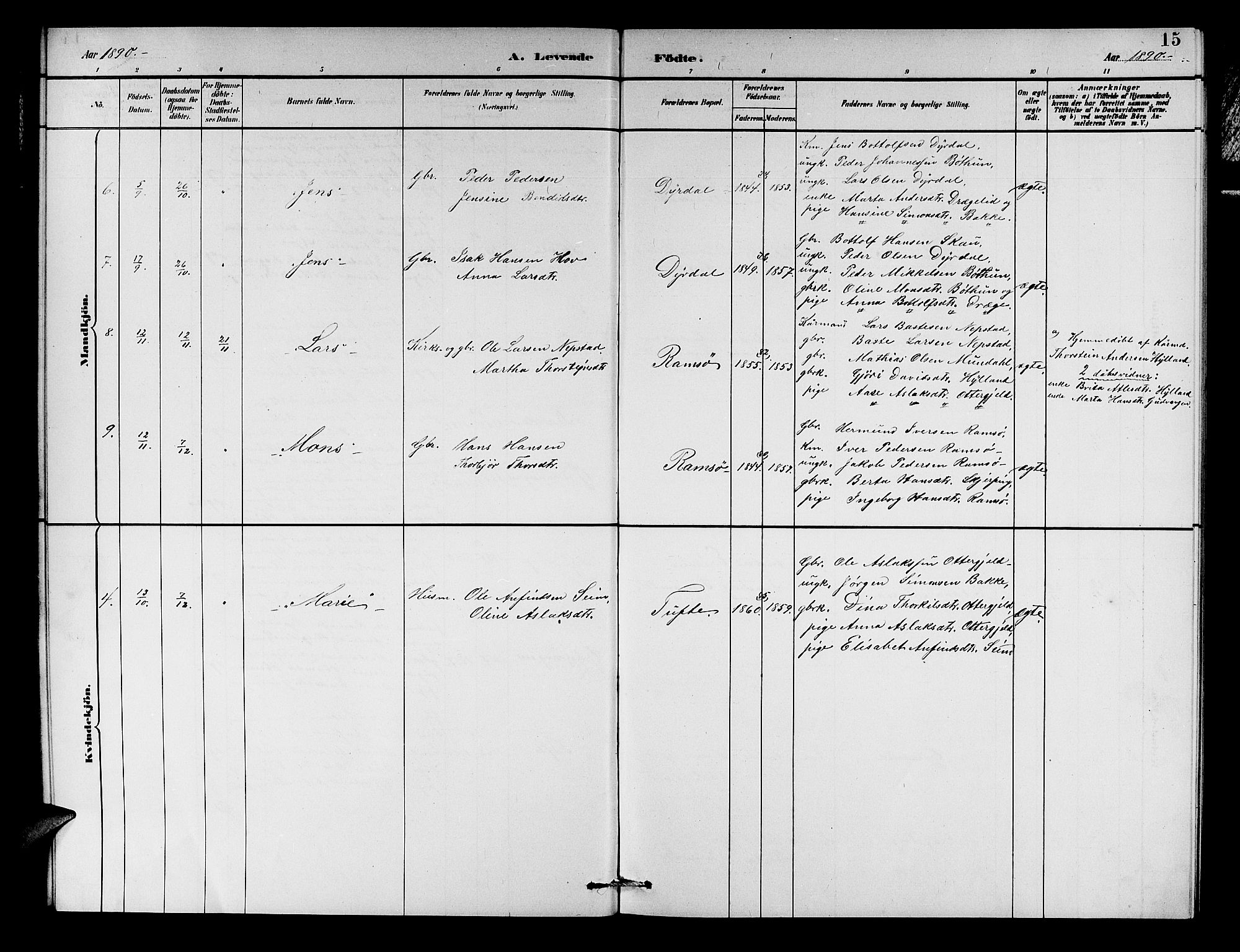 Aurland sokneprestembete, SAB/A-99937/H/Hb/Hbc/L0002: Klokkerbok nr. C 2, 1883-1900, s. 15