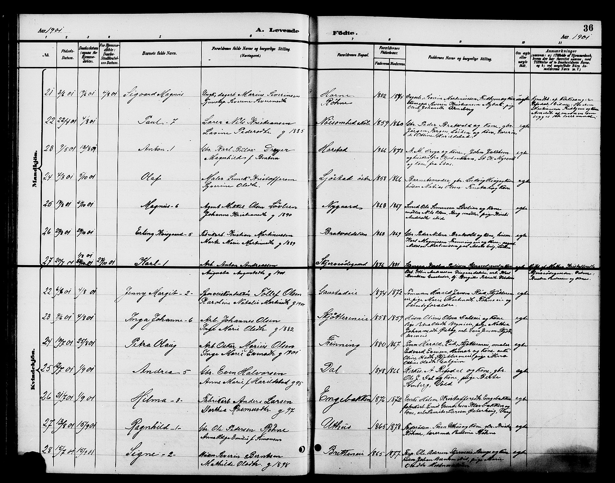 Romedal prestekontor, AV/SAH-PREST-004/L/L0012: Klokkerbok nr. 12, 1896-1914, s. 36