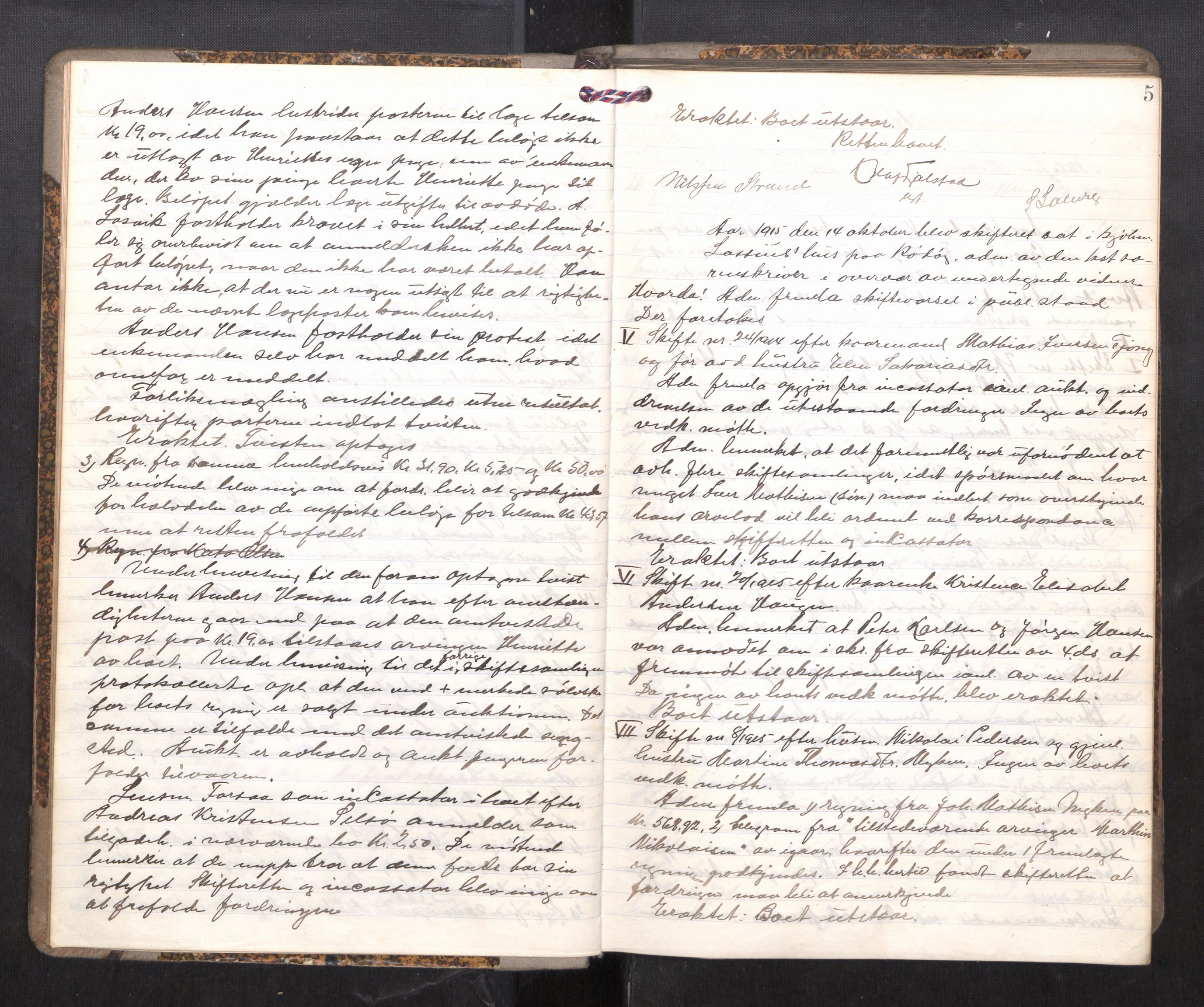 Rana sorenskriveri , AV/SAT-A-1108/1/3/3B/L0010: Skiftebehandlingsprotokoll, 1915-1918, s. 5