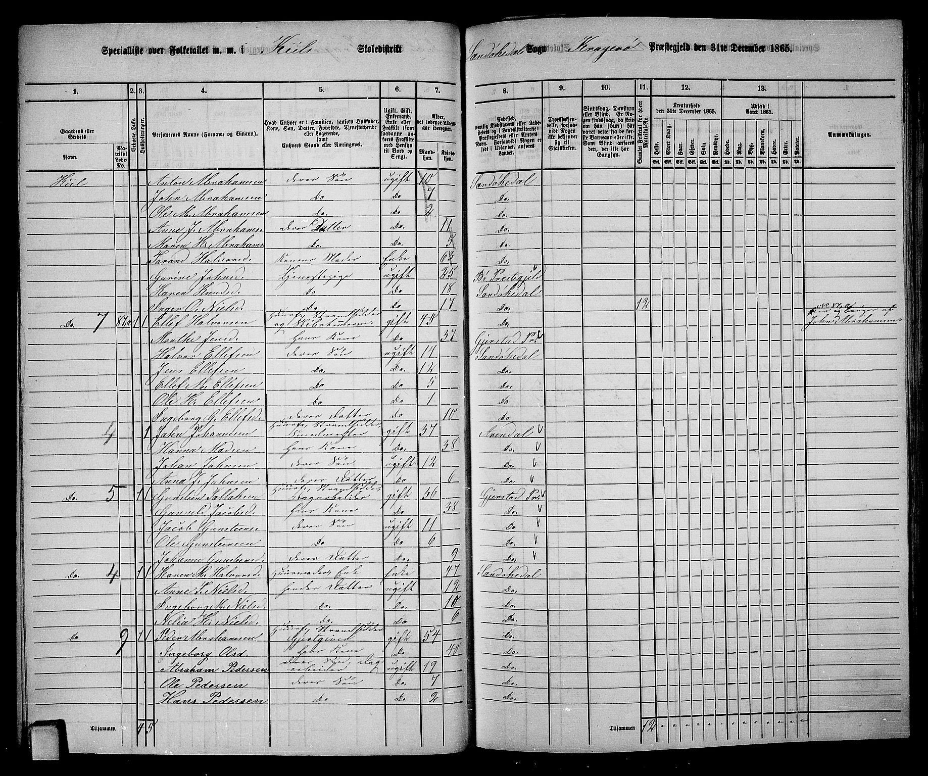 RA, Folketelling 1865 for 0816L Kragerø prestegjeld, Sannidal sokn og Skåtøy sokn, 1865, s. 47