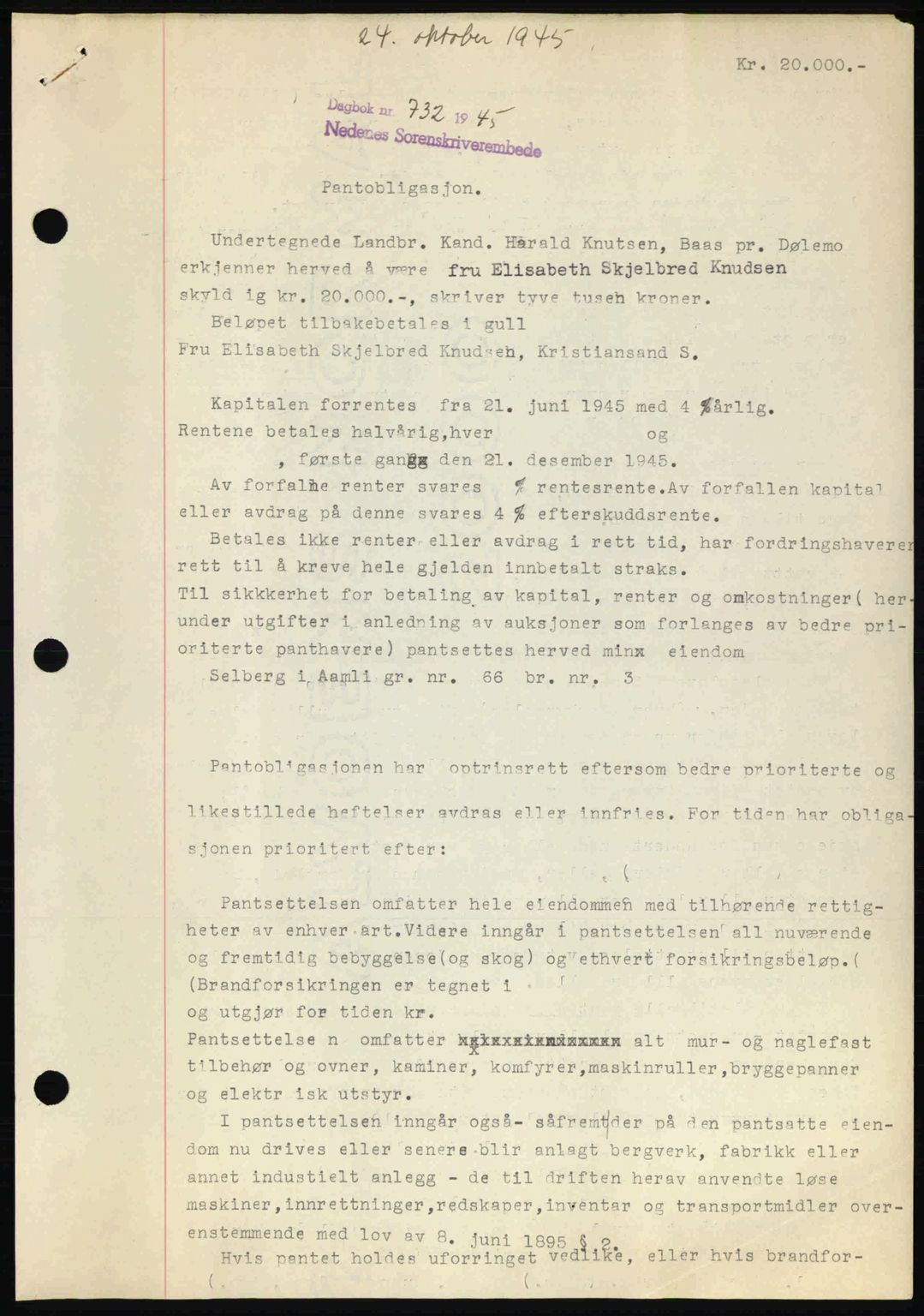 Nedenes sorenskriveri, SAK/1221-0006/G/Gb/Gbb/L0003: Pantebok nr. B3a, 1945-1945, Dagboknr: 732/1945