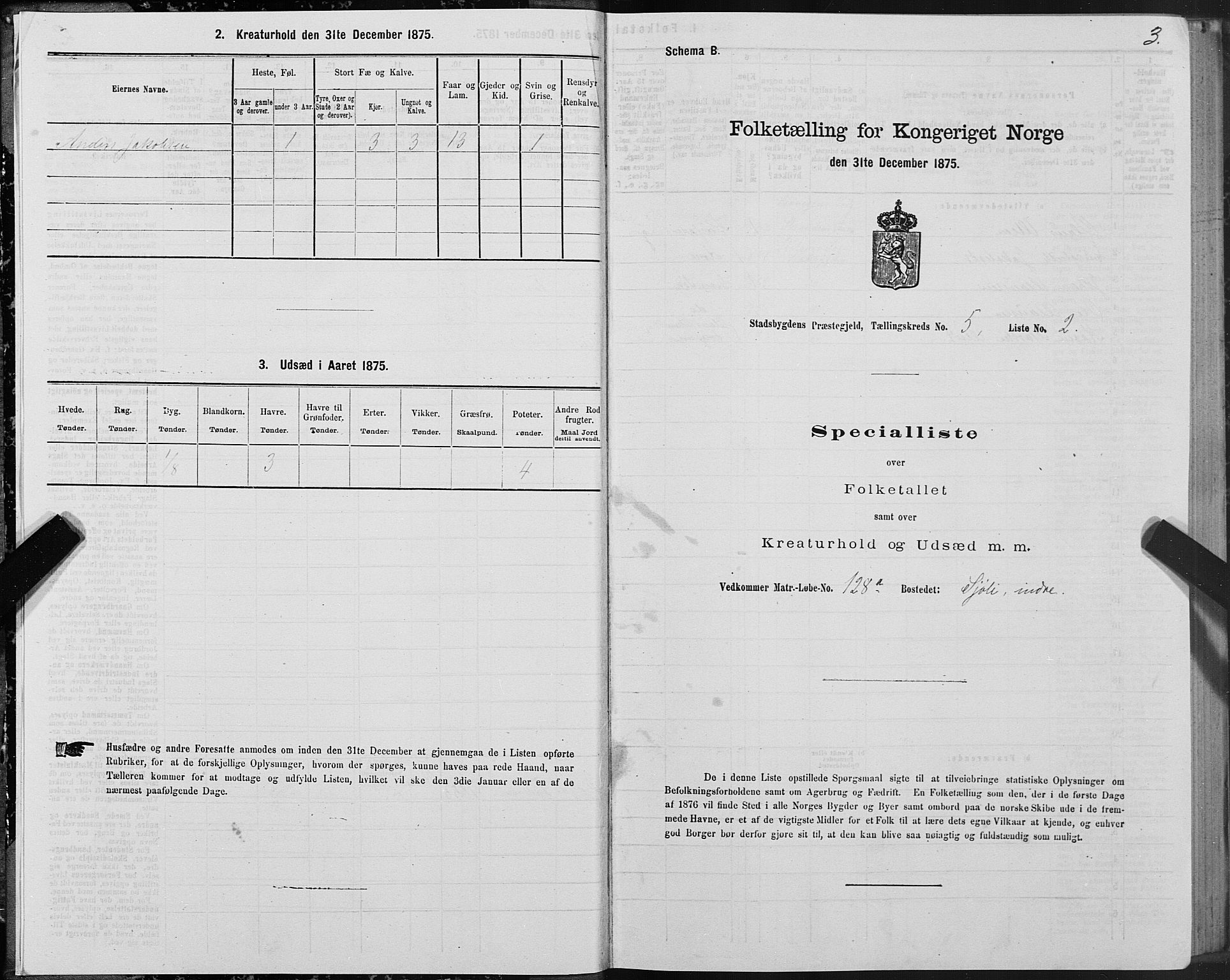 SAT, Folketelling 1875 for 1625P Stadsbygd prestegjeld, 1875, s. 3003