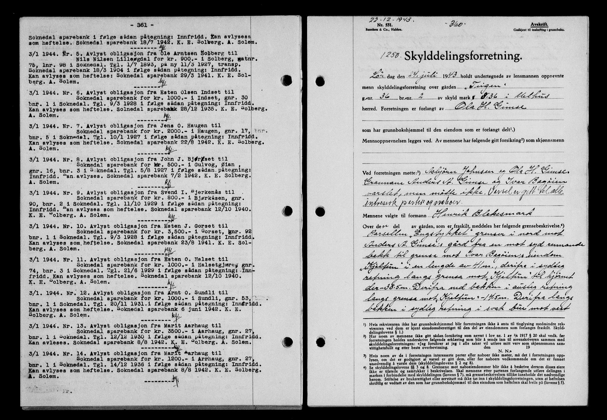 Gauldal sorenskriveri, SAT/A-0014/1/2/2C/L0057: Pantebok nr. 62, 1943-1944, Dagboknr: 1250/1943