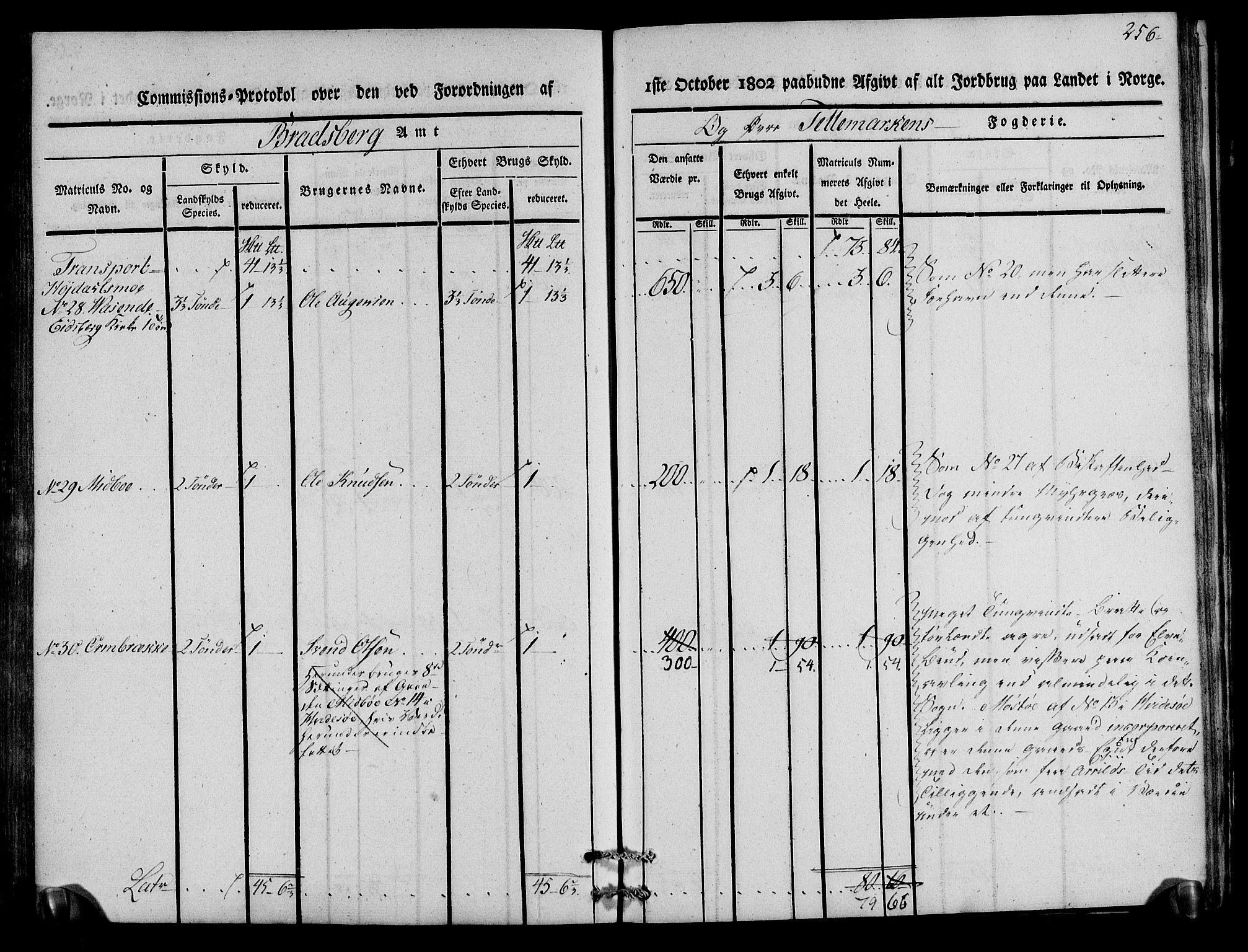 Rentekammeret inntil 1814, Realistisk ordnet avdeling, RA/EA-4070/N/Ne/Nea/L0075: Øvre Telemarken fogderi. Kommisjonsprotokoll for fogderiets vestre del - Kviteseid, Vinje, Moland [):Fyresdal] og Lårdal prestegjeld., 1803, s. 258