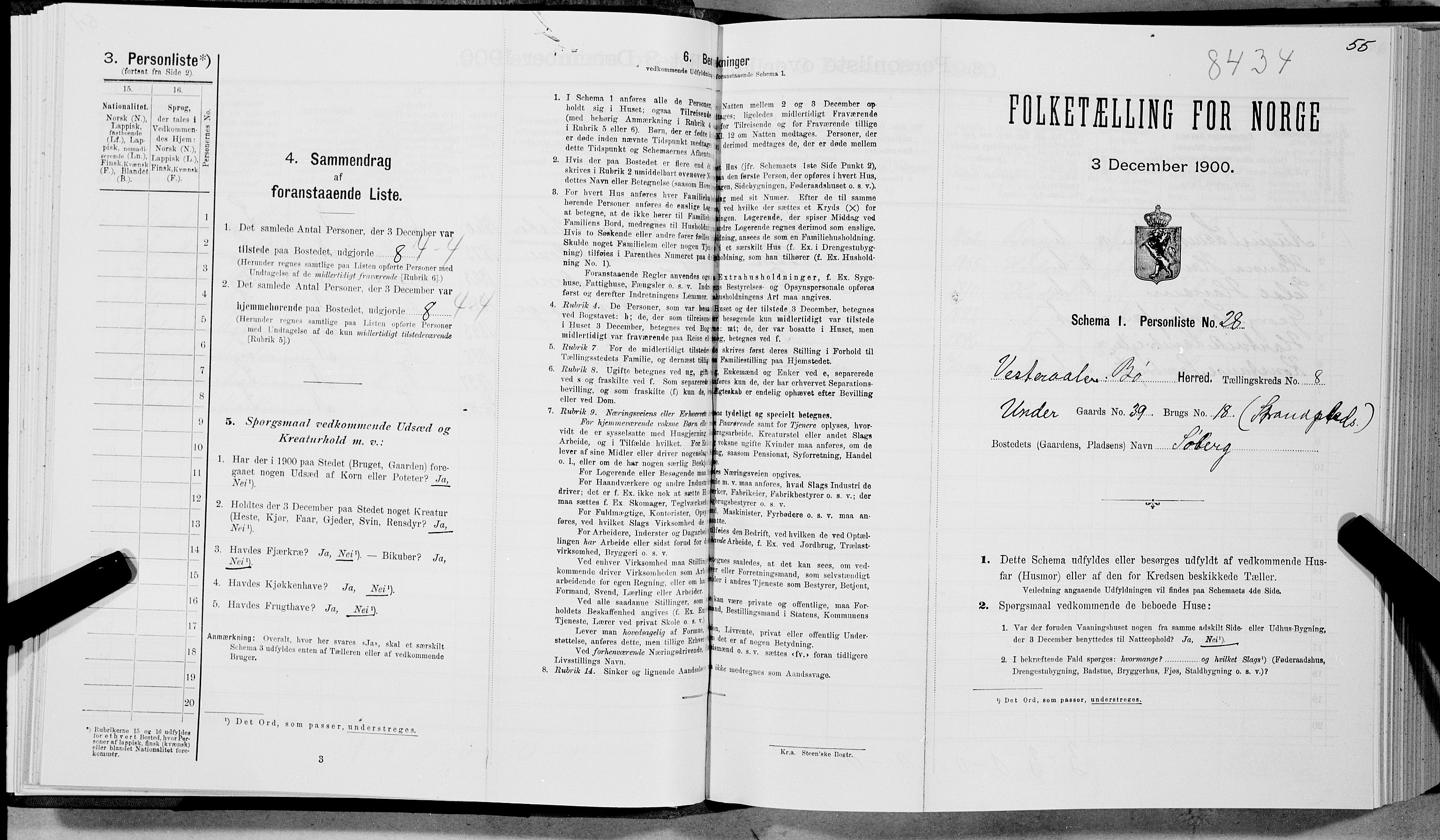 SAT, Folketelling 1900 for 1867 Bø herred, 1900, s. 957