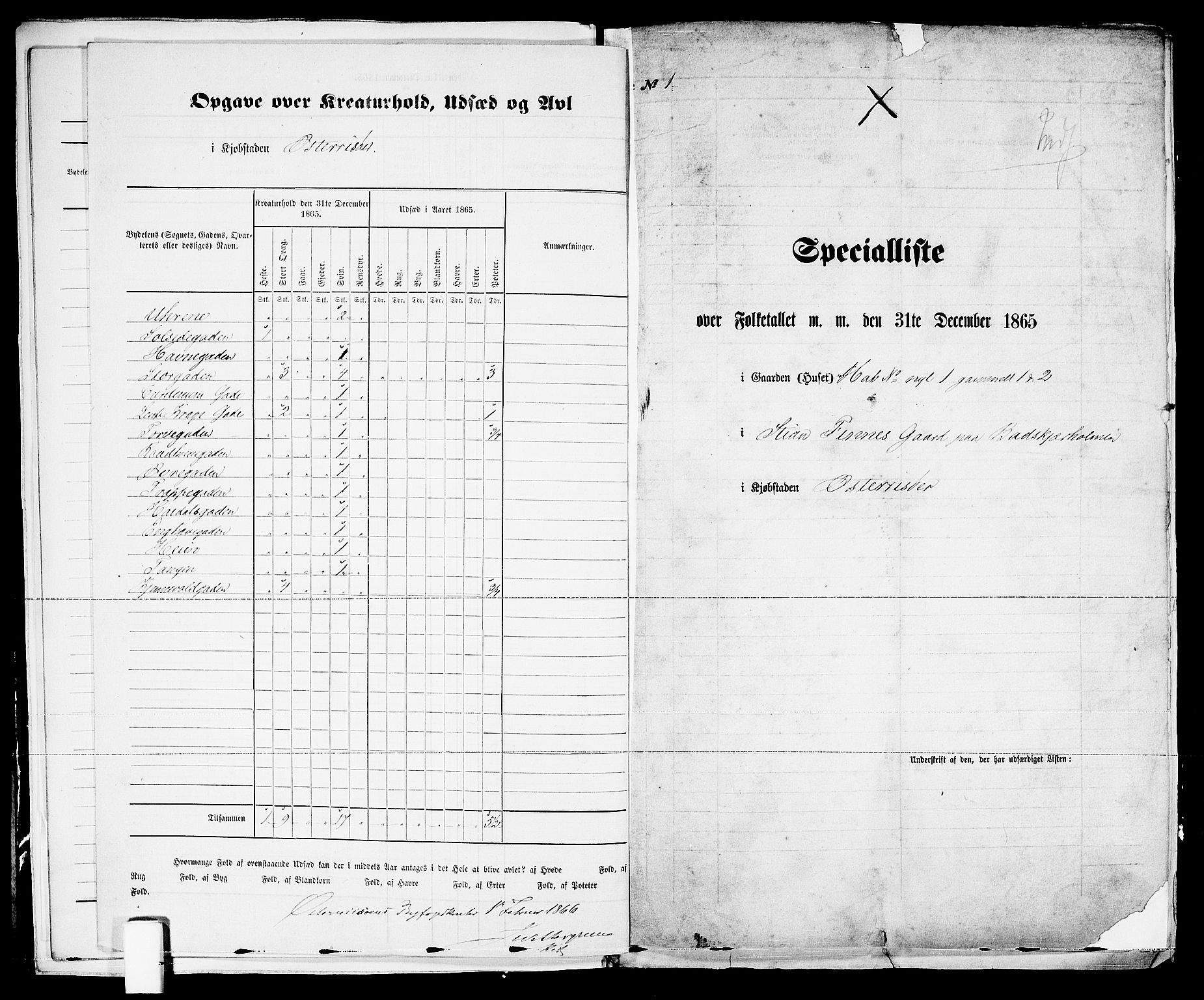 RA, Folketelling 1865 for 0901B Risør prestegjeld, Risør kjøpstad, 1865, s. 9