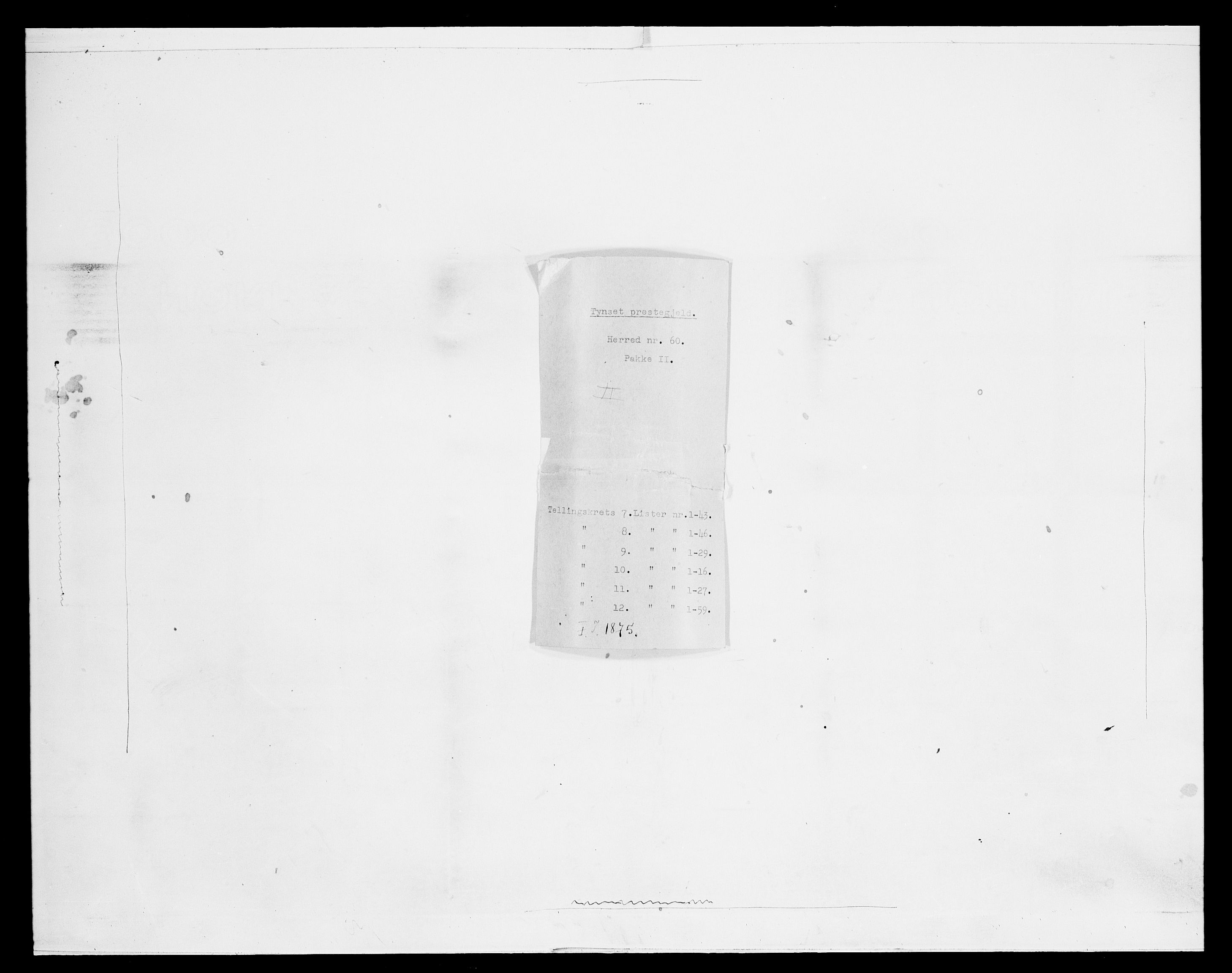 SAH, Folketelling 1875 for 0437P Tynset prestegjeld, 1875, s. 722