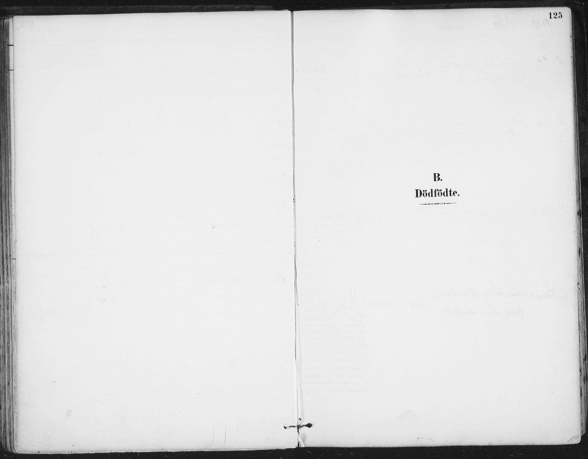 Ministerialprotokoller, klokkerbøker og fødselsregistre - Nordland, SAT/A-1459/816/L0244: Ministerialbok nr. 816A10, 1886-1903, s. 125