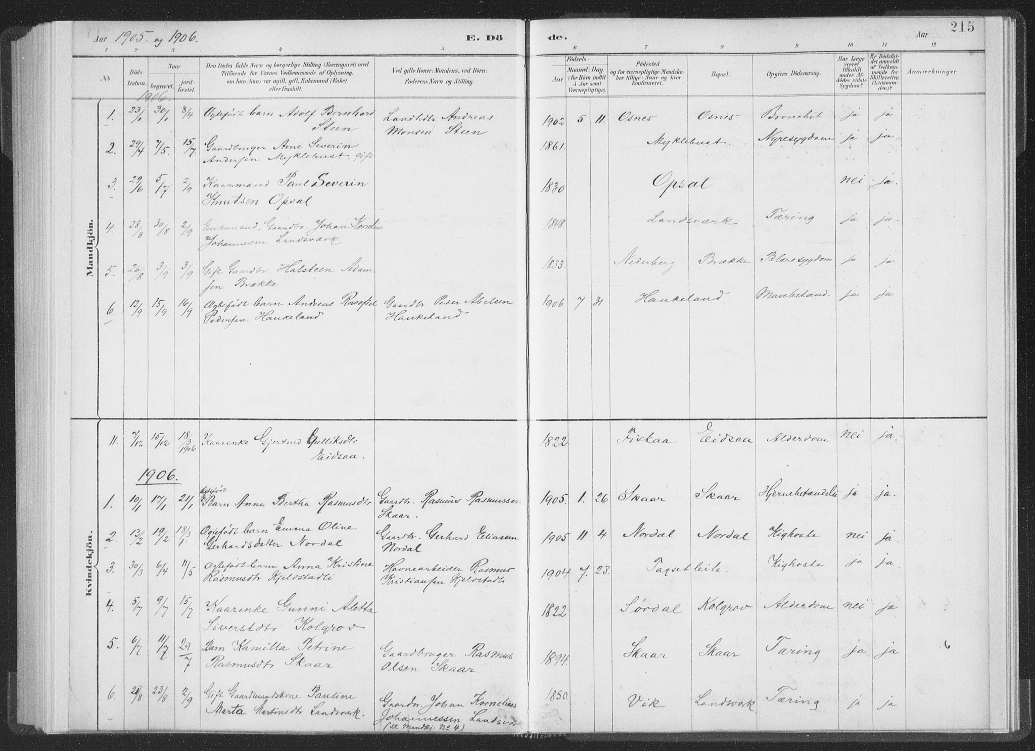 Ministerialprotokoller, klokkerbøker og fødselsregistre - Møre og Romsdal, SAT/A-1454/502/L0025: Ministerialbok nr. 502A03, 1885-1909, s. 215