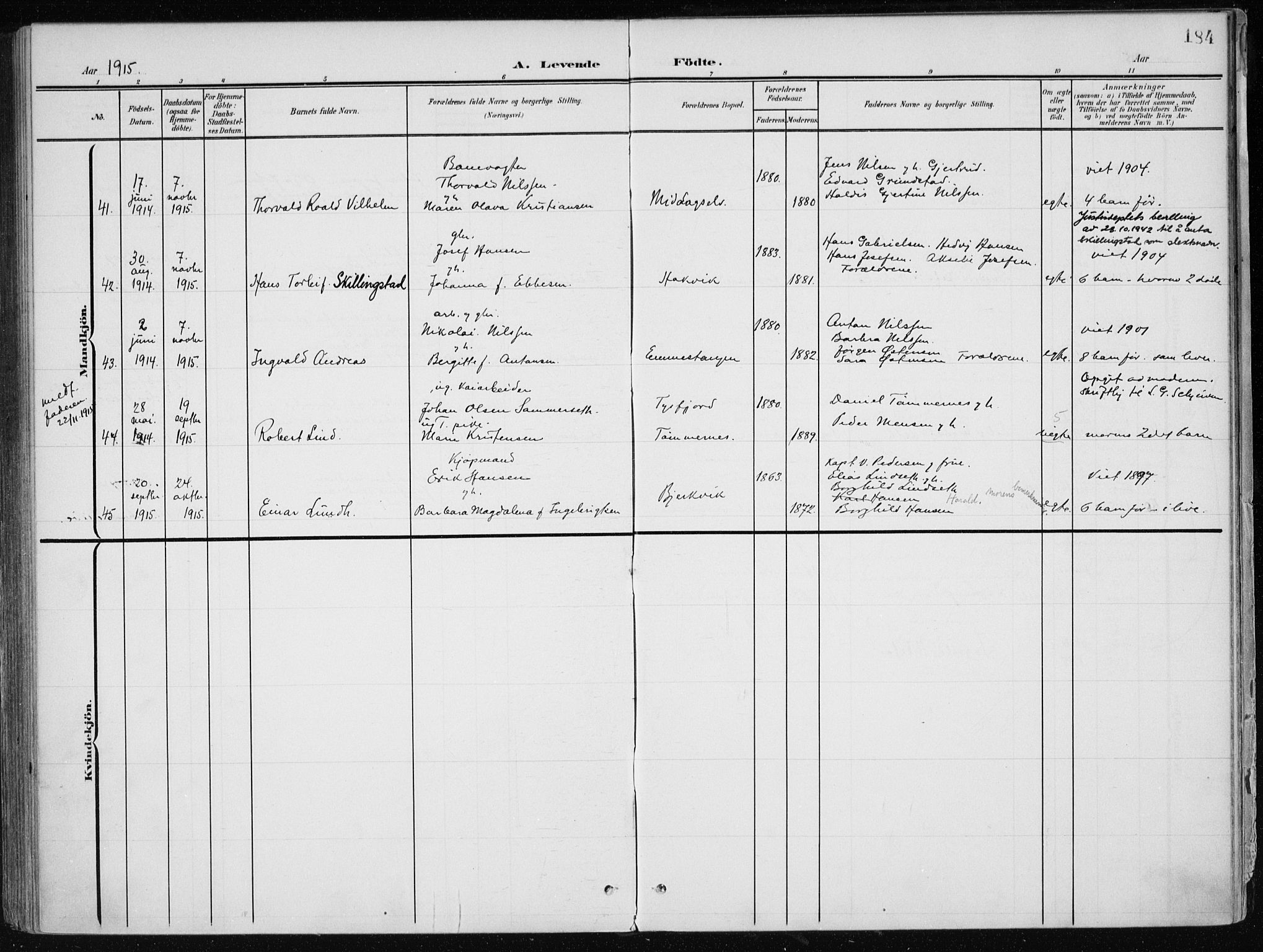 Ministerialprotokoller, klokkerbøker og fødselsregistre - Nordland, AV/SAT-A-1459/866/L0941: Ministerialbok nr. 866A04, 1901-1917, s. 184