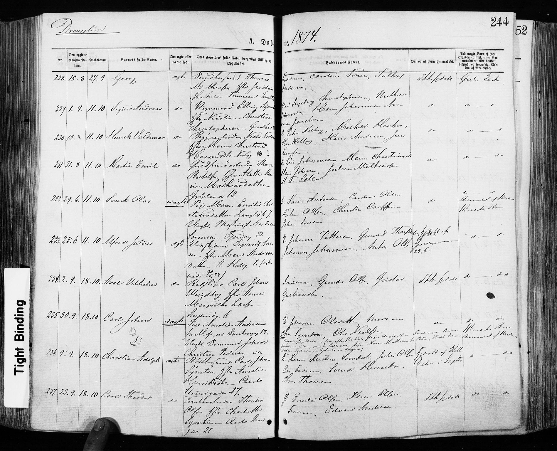 Grønland prestekontor Kirkebøker, SAO/A-10848/F/Fa/L0004: Ministerialbok nr. 4, 1869-1880, s. 244