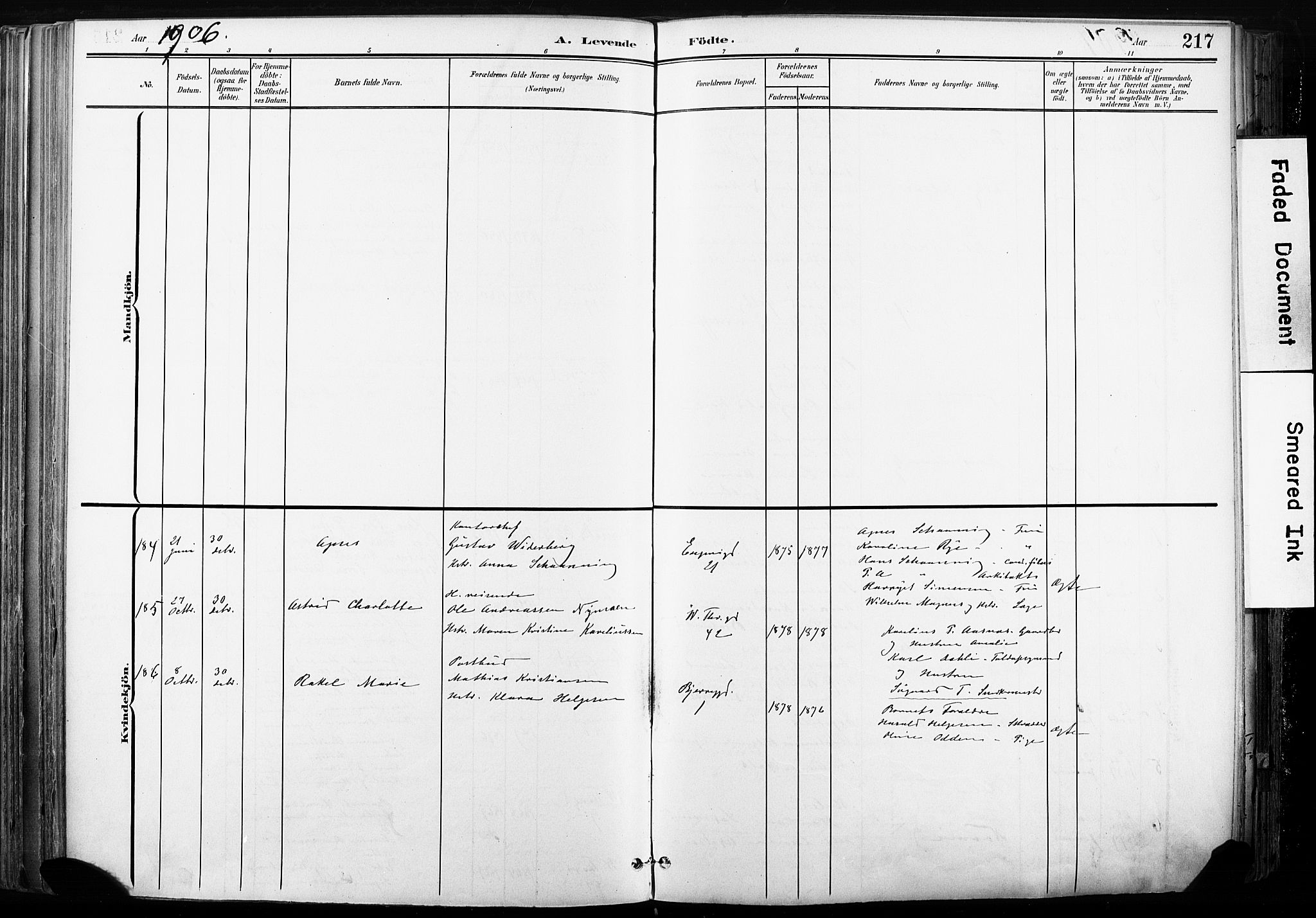 Gamle Aker prestekontor Kirkebøker, SAO/A-10617a/F/L0013: Ministerialbok nr. 13, 1901-1908, s. 217