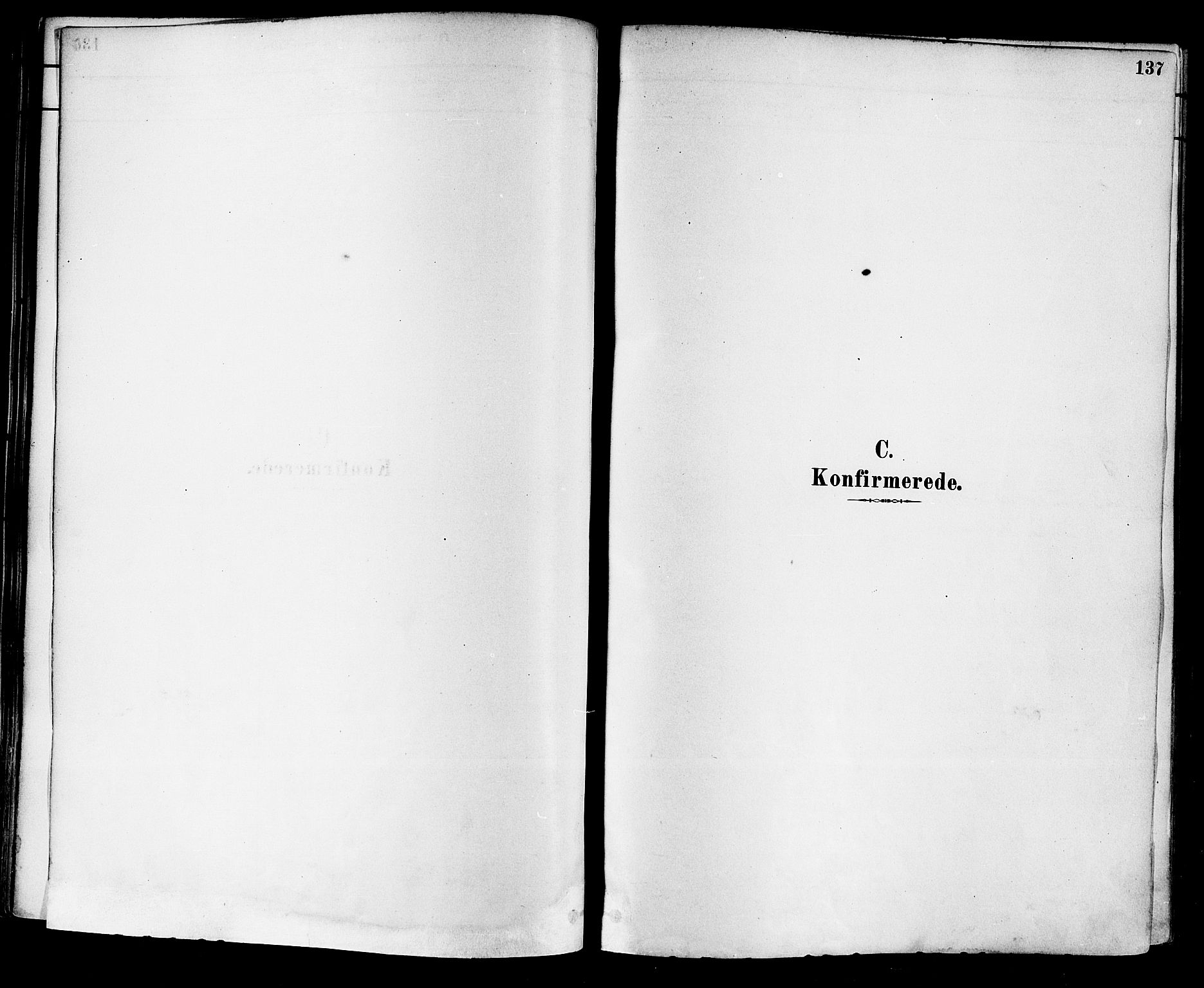 Sande Kirkebøker, SAKO/A-53/F/Fa/L0006: Ministerialbok nr. 6, 1878-1888, s. 137