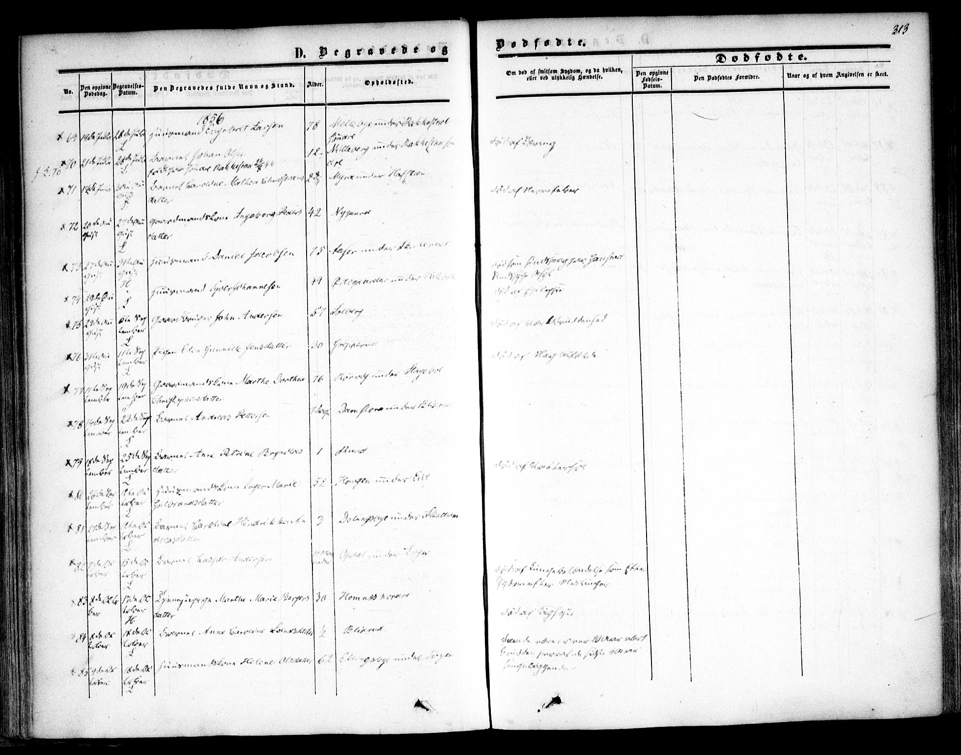 Høland prestekontor Kirkebøker, AV/SAO-A-10346a/F/Fa/L0010: Ministerialbok nr. I 10, 1854-1861, s. 313