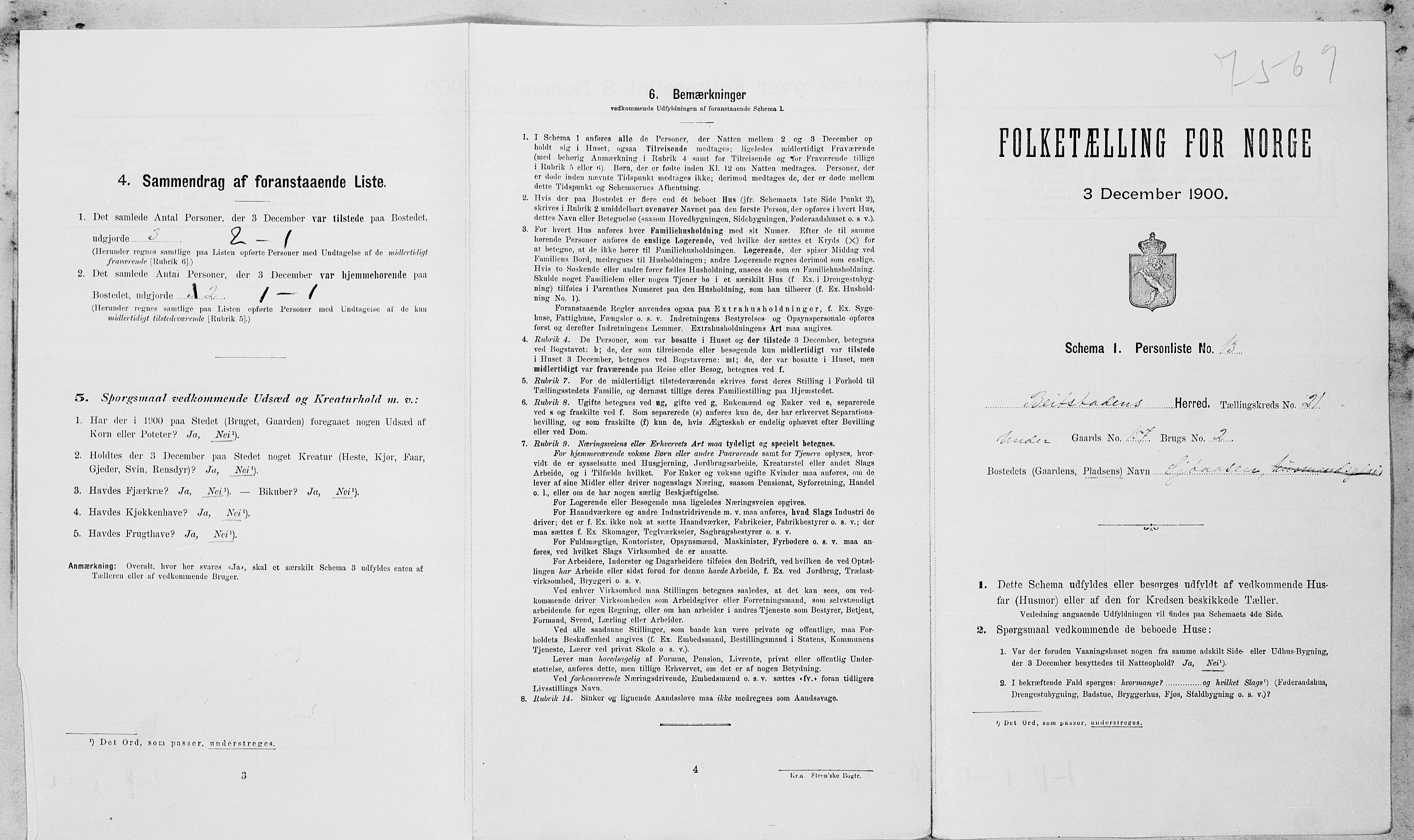 SAT, Folketelling 1900 for 1727 Beitstad herred, 1900, s. 1458