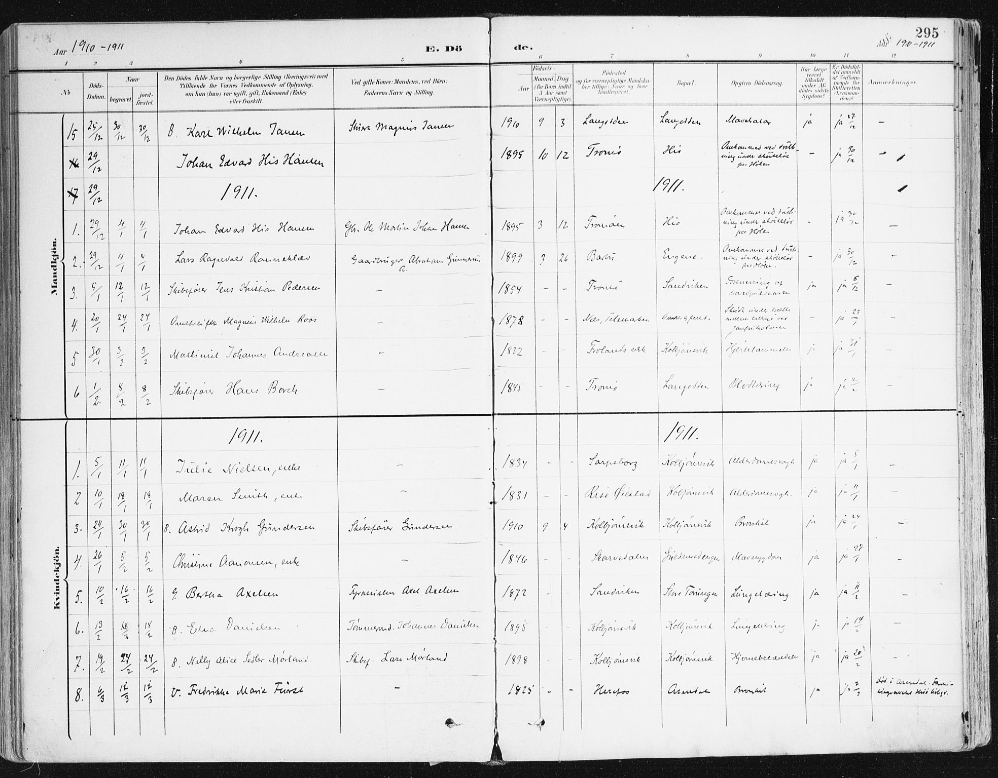 Hisøy sokneprestkontor, AV/SAK-1111-0020/F/Fa/L0004: Ministerialbok nr. A 4, 1895-1917, s. 295