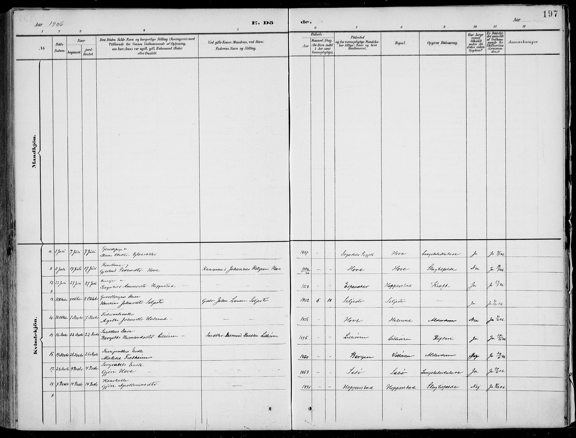 Vik sokneprestembete, AV/SAB-A-81501/H/Haa/Haab/L0002: Ministerialbok nr. B  2, 1891-1907, s. 197