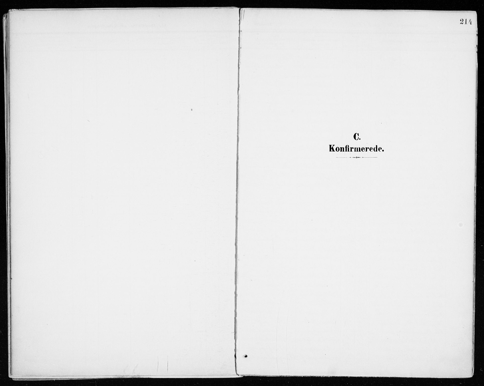 Vang prestekontor, Hedmark, AV/SAH-PREST-008/H/Ha/Haa/L0021: Ministerialbok nr. 21, 1902-1917, s. 214