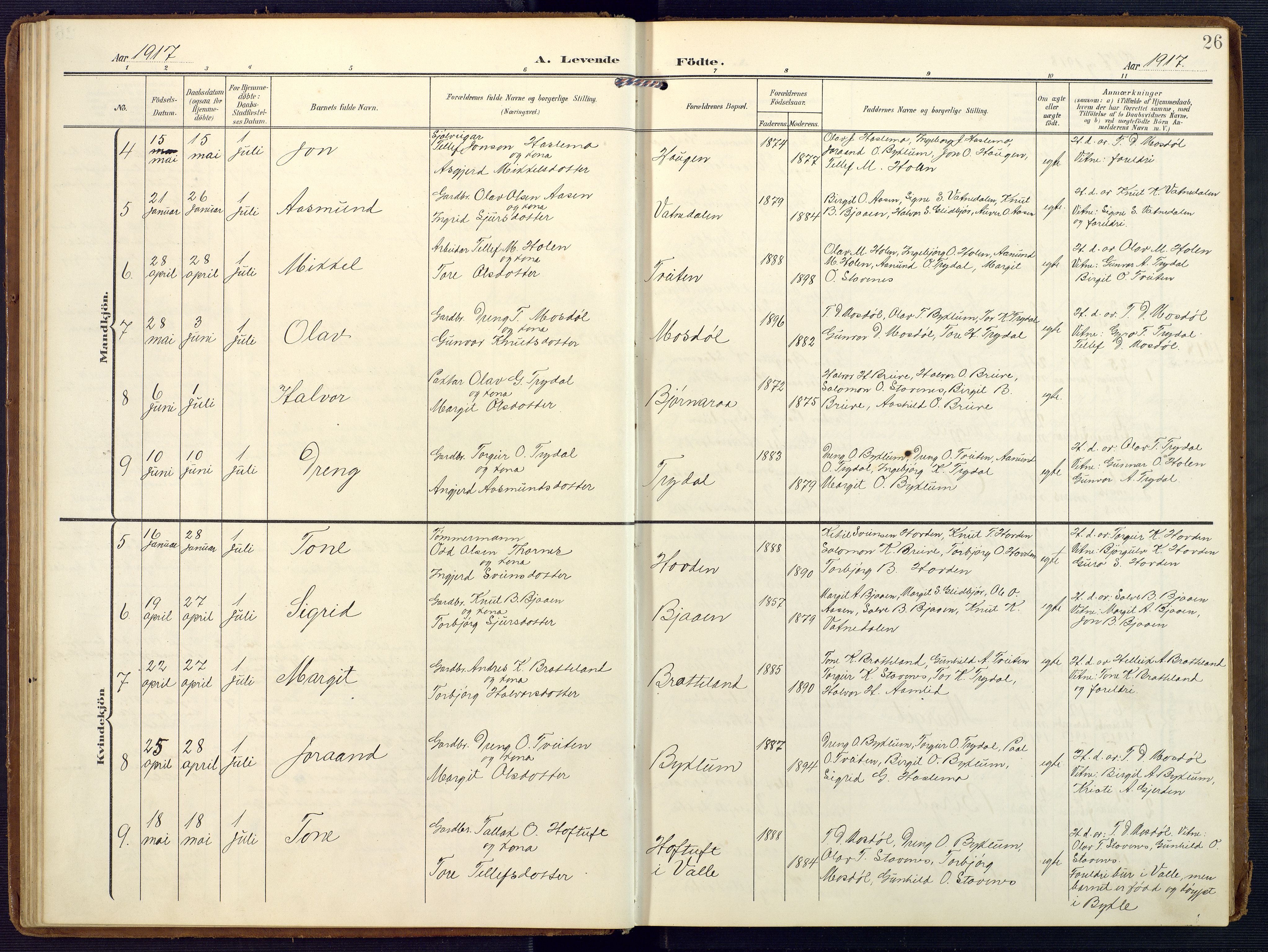Valle sokneprestkontor, AV/SAK-1111-0044/F/Fa/Faa/L0002: Ministerialbok nr. A 2, 1907-1919, s. 26