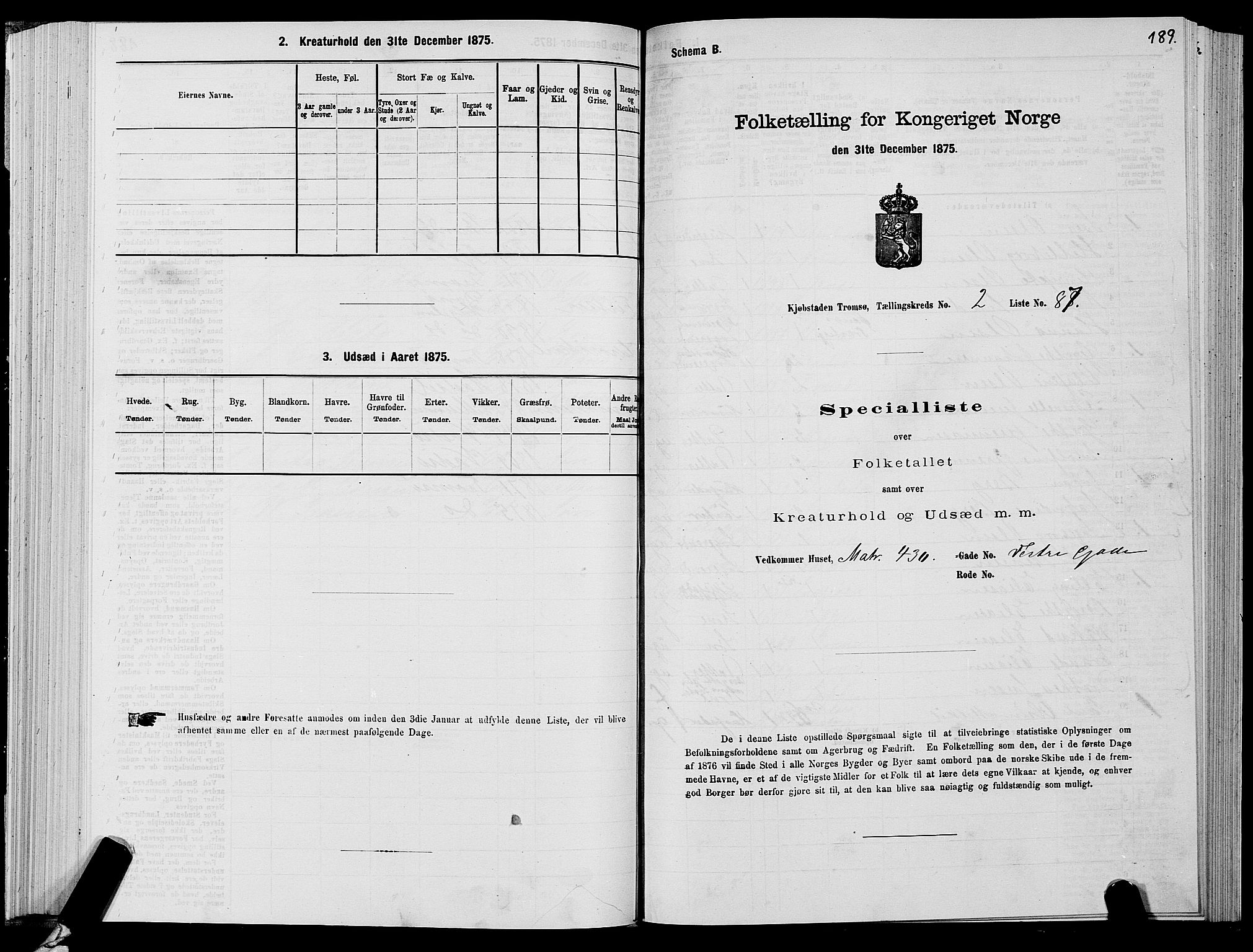 SATØ, Folketelling 1875 for 1902P Tromsø prestegjeld, 1875, s. 2189