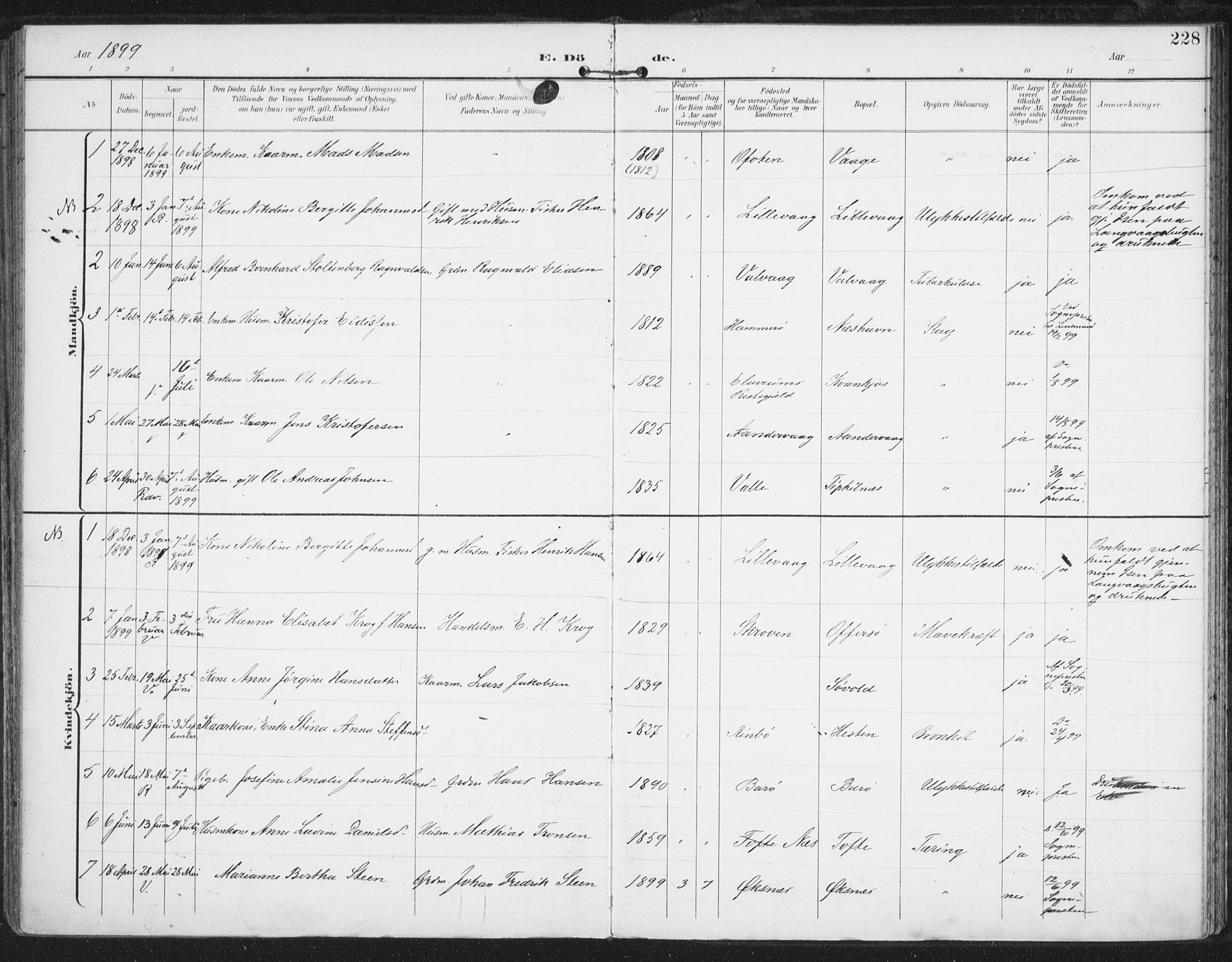 Ministerialprotokoller, klokkerbøker og fødselsregistre - Nordland, AV/SAT-A-1459/872/L1036: Ministerialbok nr. 872A11, 1897-1913, s. 228