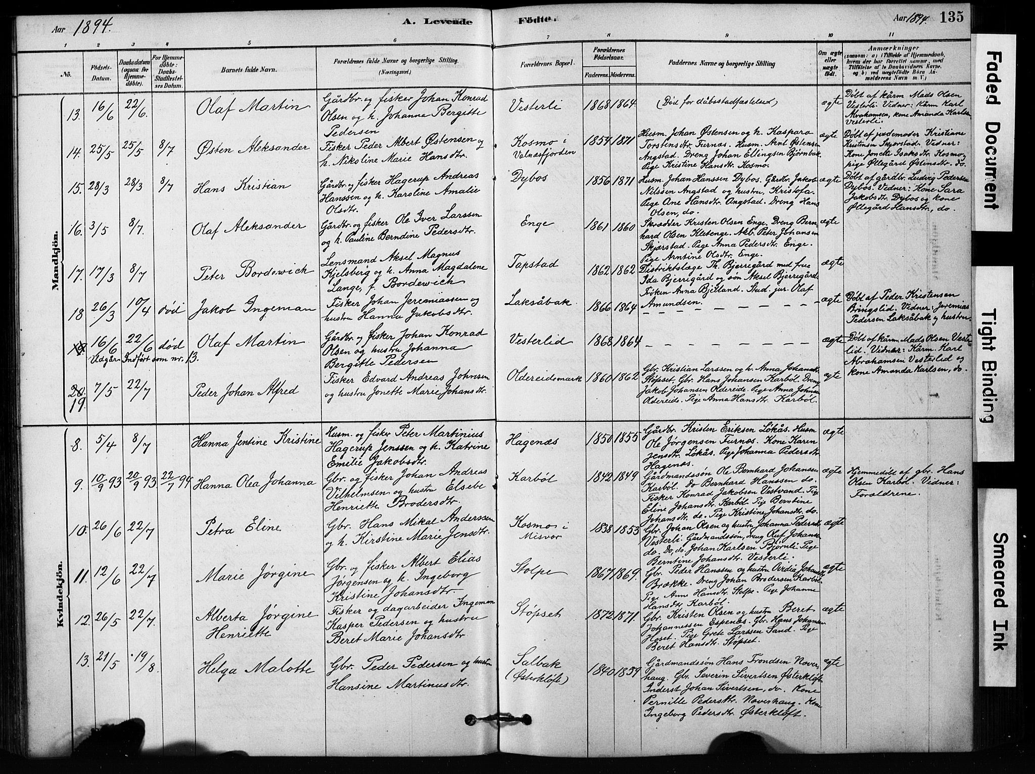 Ministerialprotokoller, klokkerbøker og fødselsregistre - Nordland, SAT/A-1459/852/L0754: Klokkerbok nr. 852C05, 1878-1894, s. 135