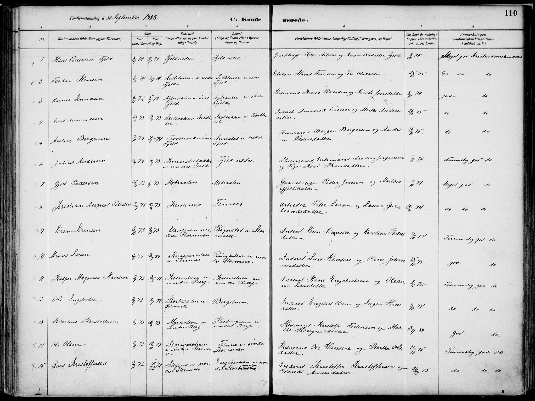 Nord-Odal prestekontor, AV/SAH-PREST-032/H/Ha/Haa/L0008: Ministerialbok nr. 8, 1886-1901, s. 110