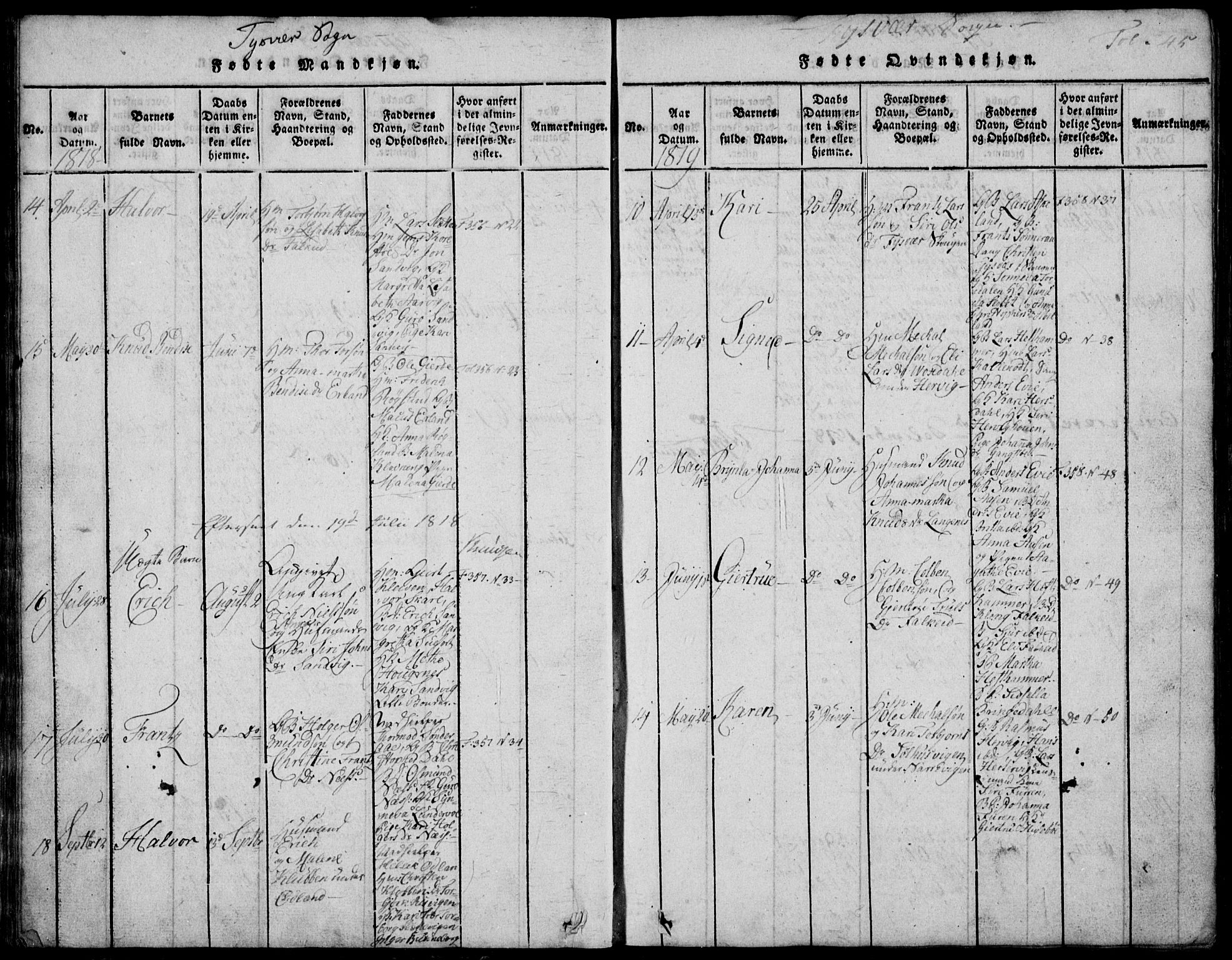 Skjold sokneprestkontor, AV/SAST-A-101847/H/Ha/Hab/L0002: Klokkerbok nr. B 2 /1, 1815-1830, s. 45