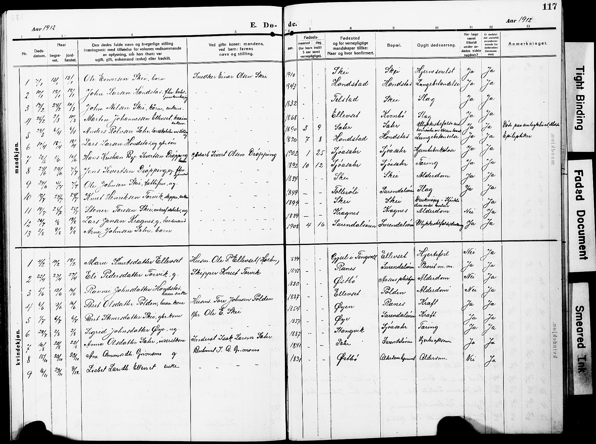 Ministerialprotokoller, klokkerbøker og fødselsregistre - Møre og Romsdal, SAT/A-1454/596/L1059: Klokkerbok nr. 596C02, 1908-1922, s. 117