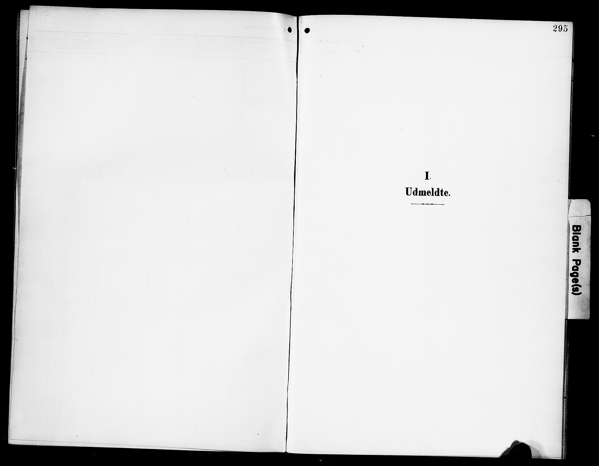 Hamar prestekontor, SAH/DOMPH-002/H/Ha/Hab/L0002: Klokkerbok nr. 2, 1899-1929, s. 295