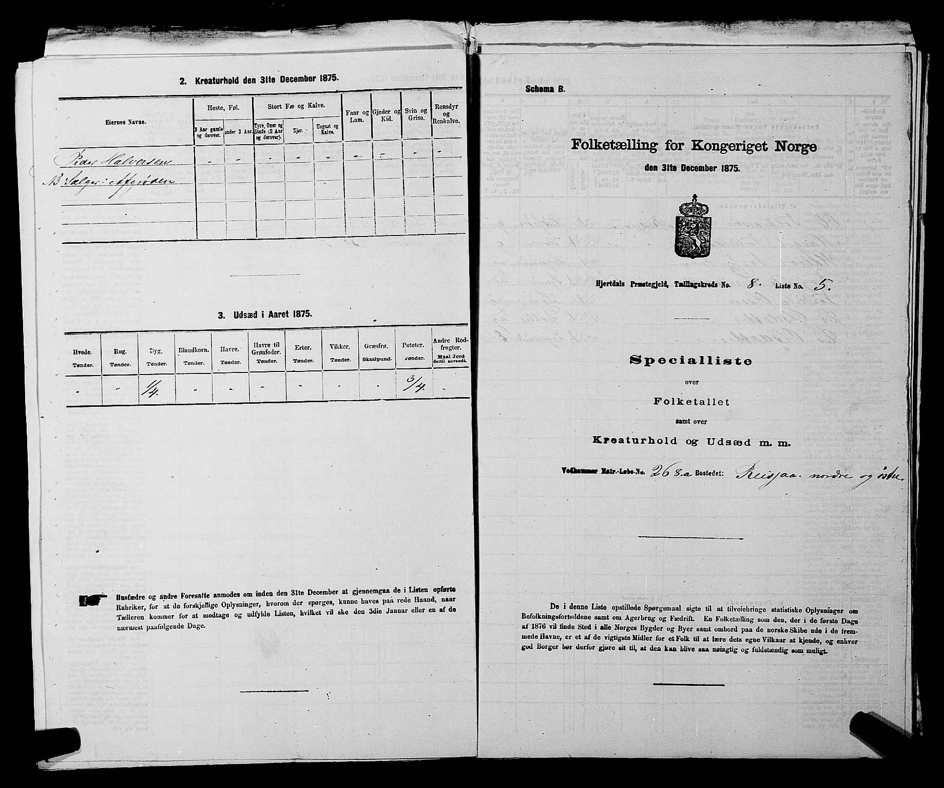 SAKO, Folketelling 1875 for 0827P Hjartdal prestegjeld, 1875, s. 1070