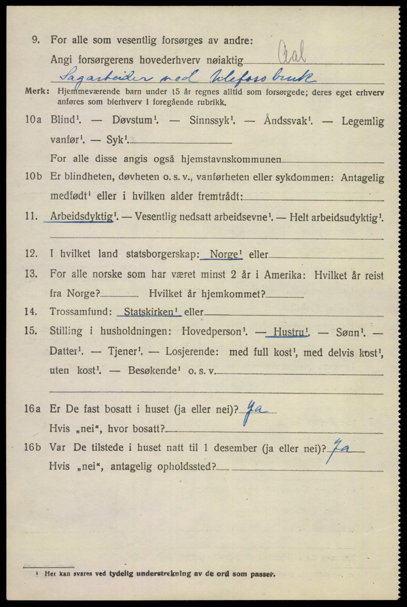 SAKO, Folketelling 1920 for 0819 Holla herred, 1920, s. 4462