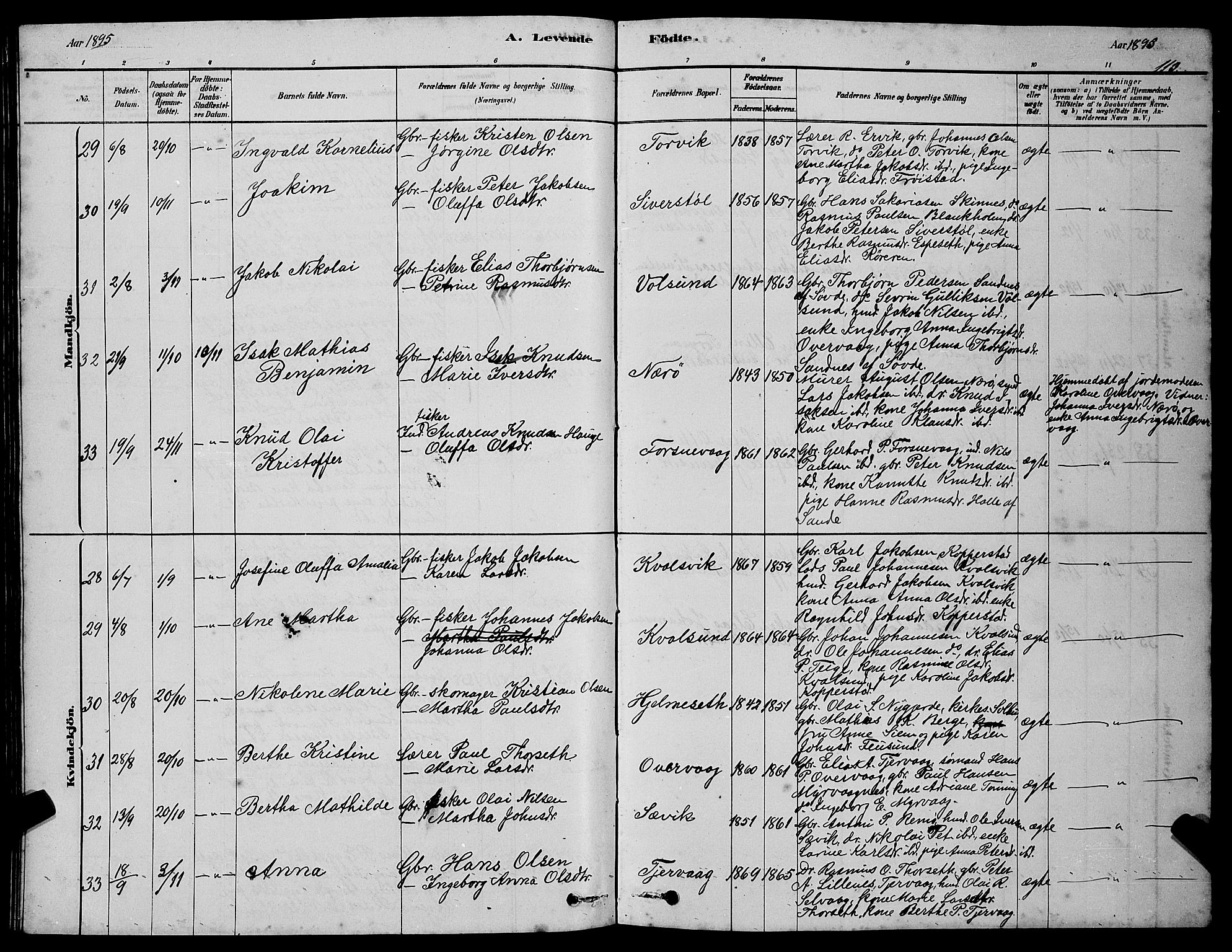 Ministerialprotokoller, klokkerbøker og fødselsregistre - Møre og Romsdal, AV/SAT-A-1454/507/L0081: Klokkerbok nr. 507C04, 1878-1898, s. 113