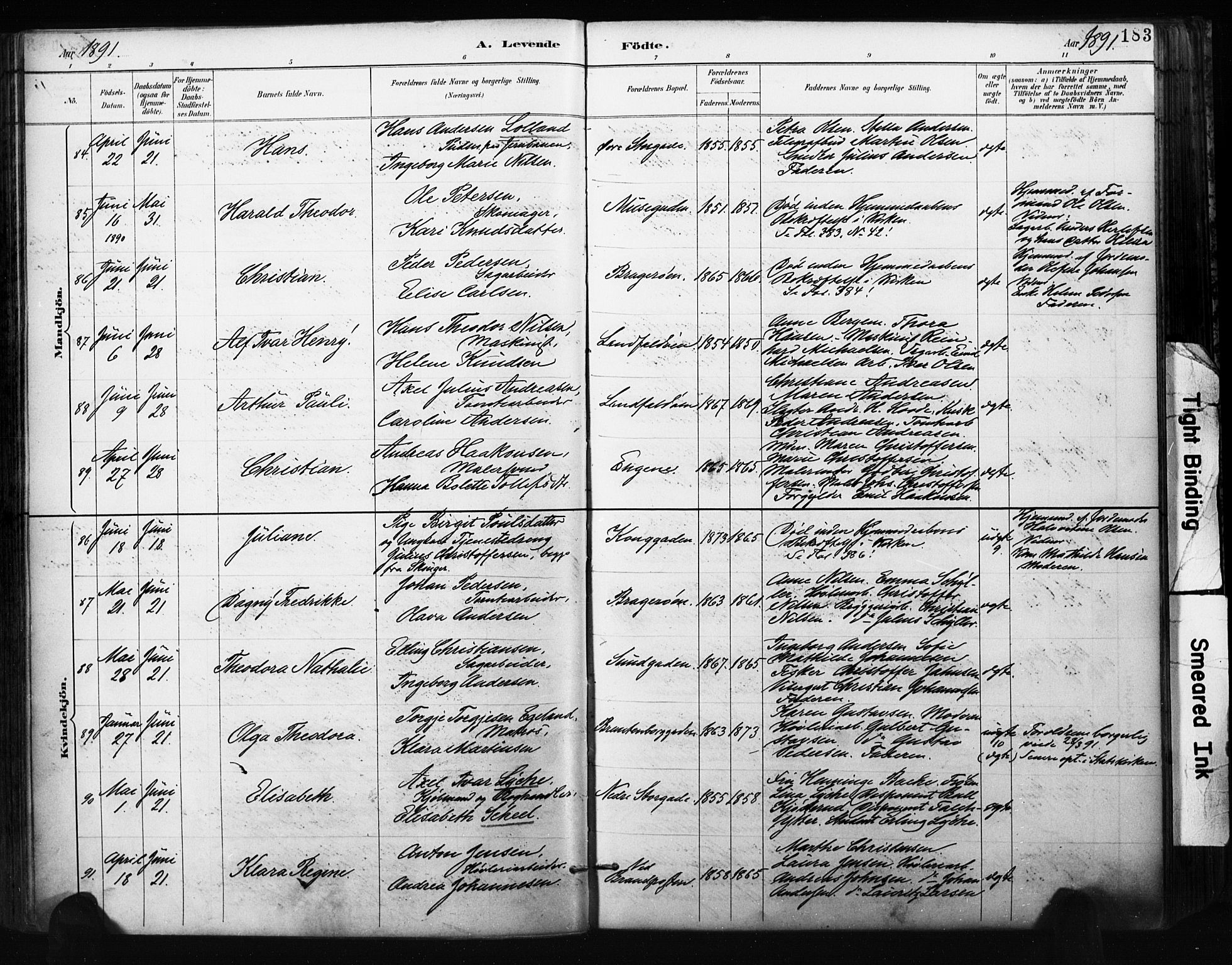 Bragernes kirkebøker, AV/SAKO-A-6/F/Fb/L0007: Ministerialbok nr. II 7, 1885-1893, s. 183