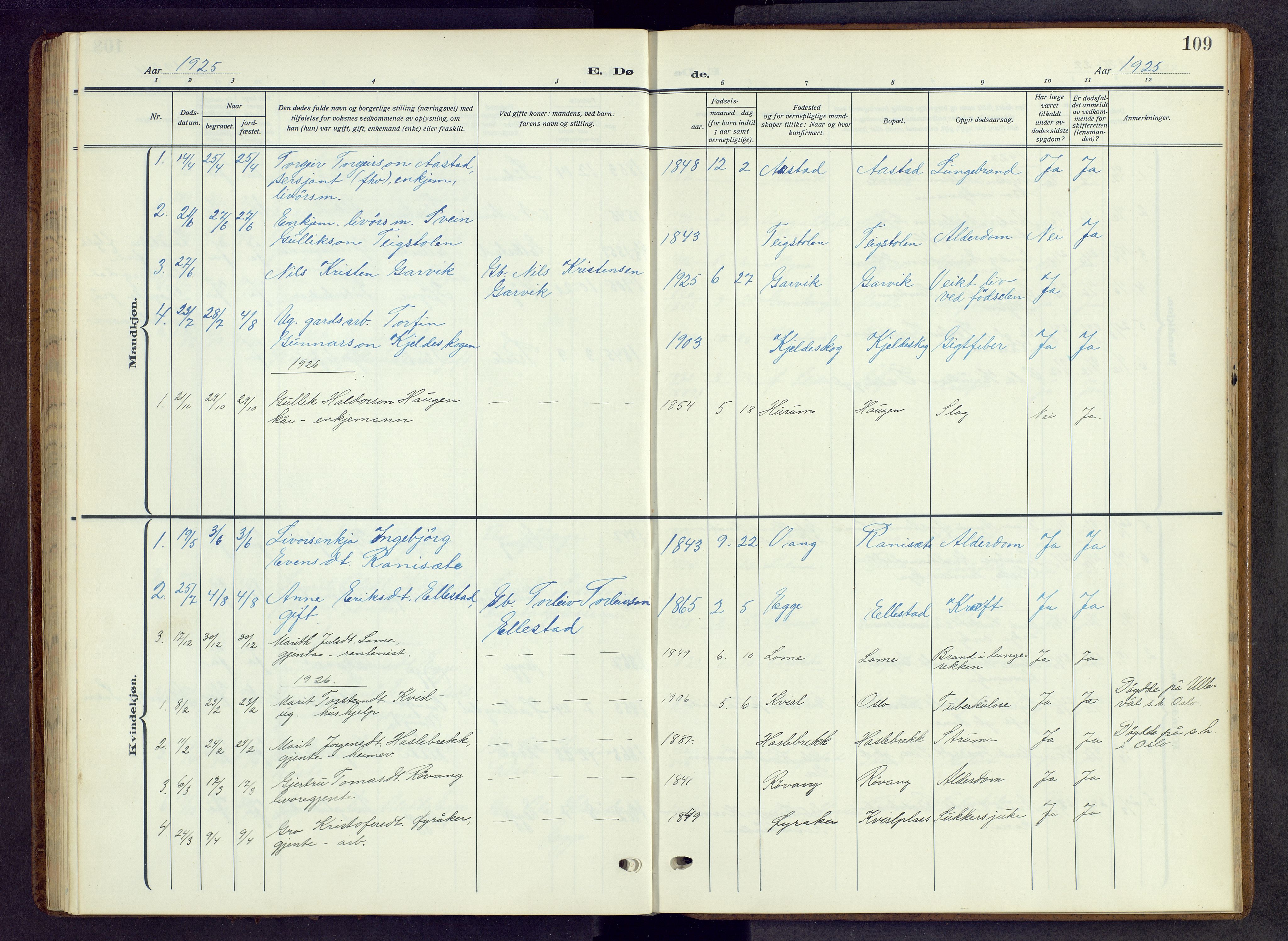 Vestre Slidre prestekontor, AV/SAH-PREST-136/H/Ha/Hab/L0009: Klokkerbok nr. 9, 1914-1970, s. 109