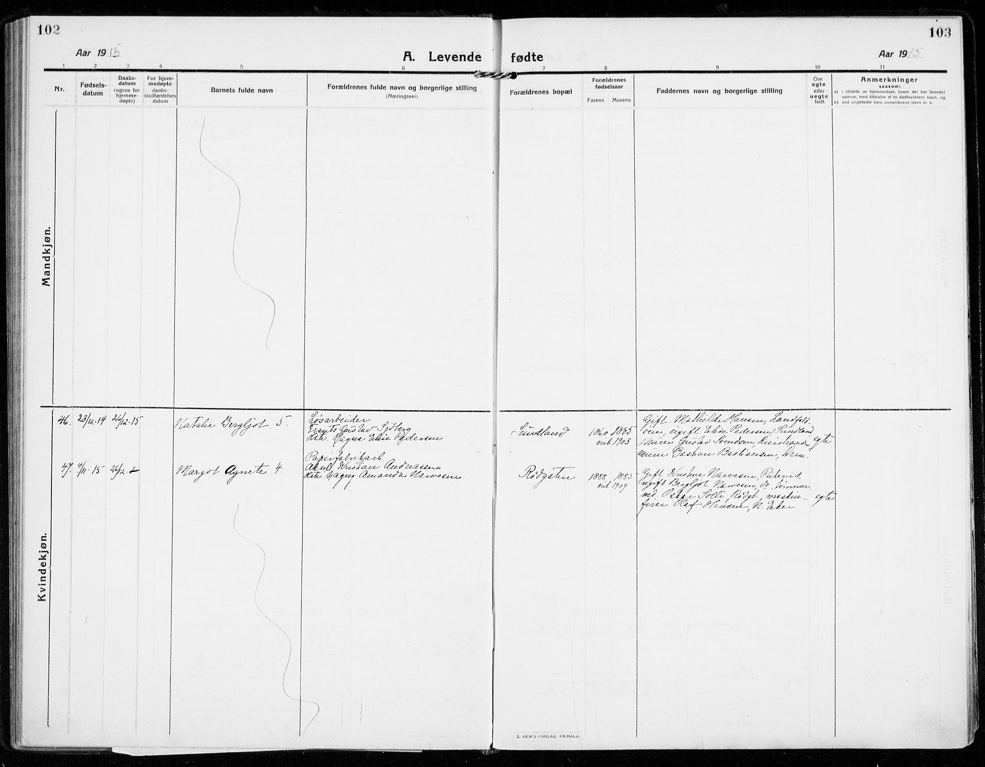 Strømsgodset kirkebøker, AV/SAKO-A-324/F/Fa/L0002: Ministerialbok nr. 2, 1910-1920, s. 102-103