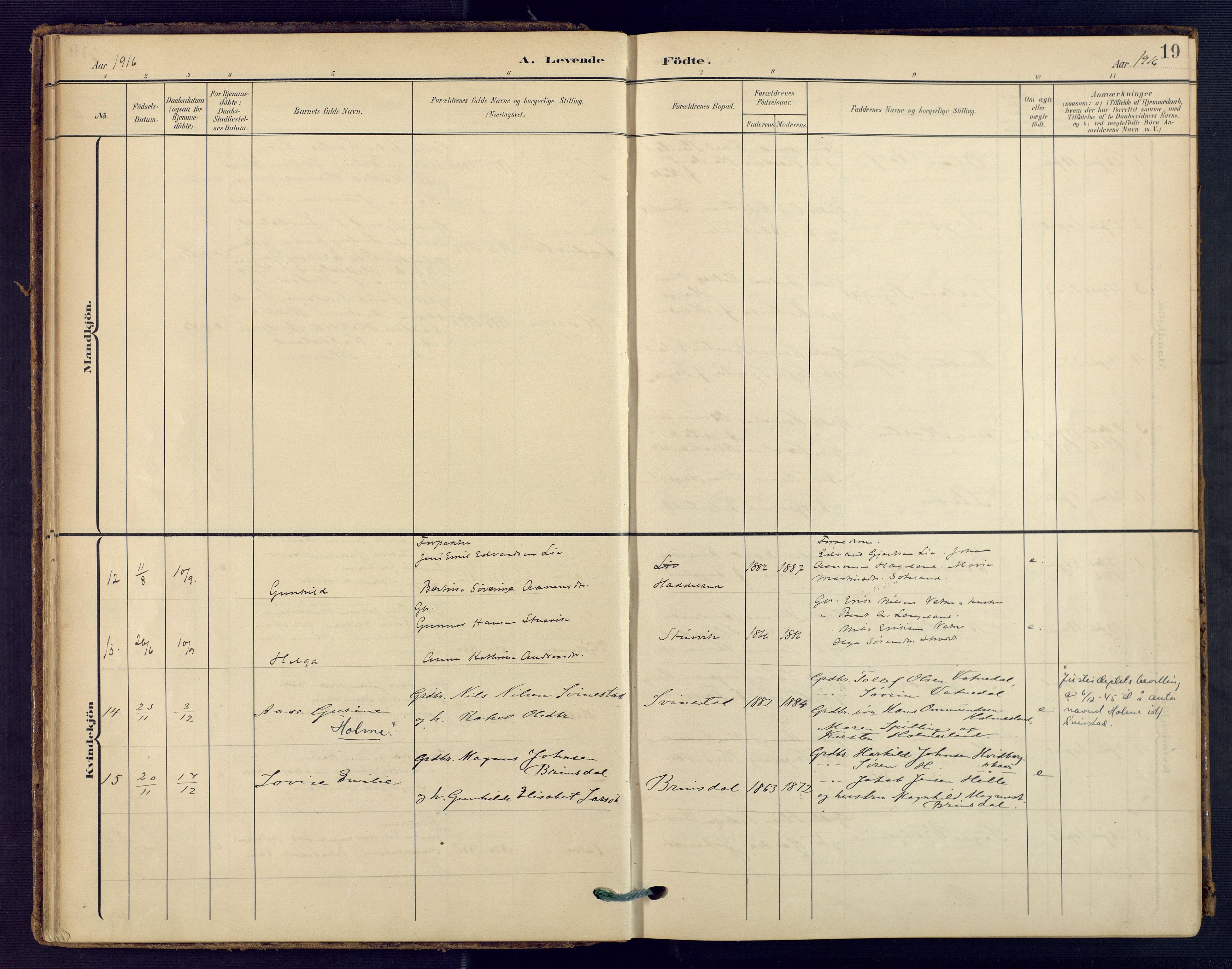 Holum sokneprestkontor, SAK/1111-0022/F/Fa/Faa/L0008: Ministerialbok nr. A 8, 1908-1929, s. 19