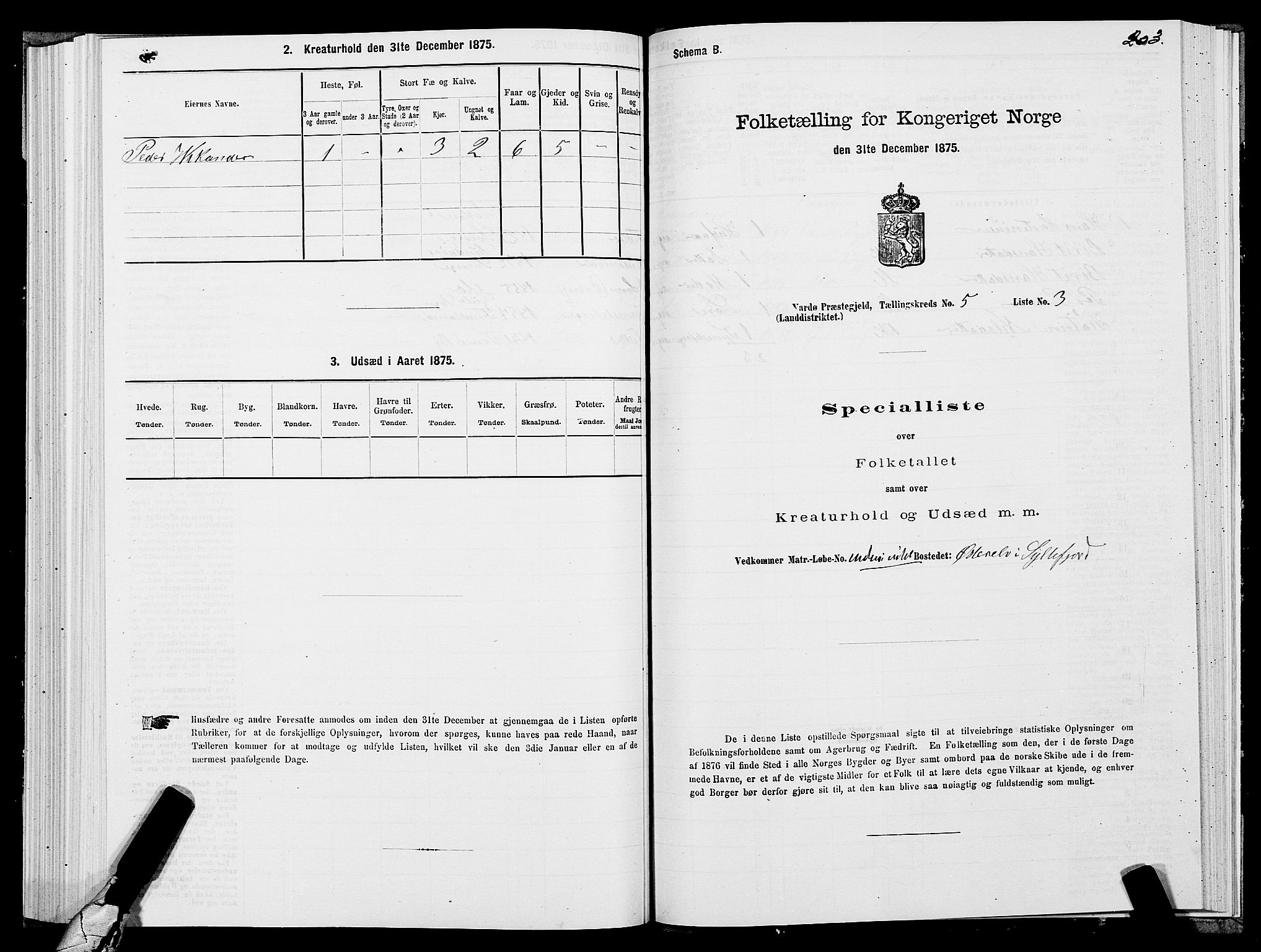 SATØ, Folketelling 1875 for 2028L Vardø prestegjeld, Vardø landsokn, 1875, s. 1203