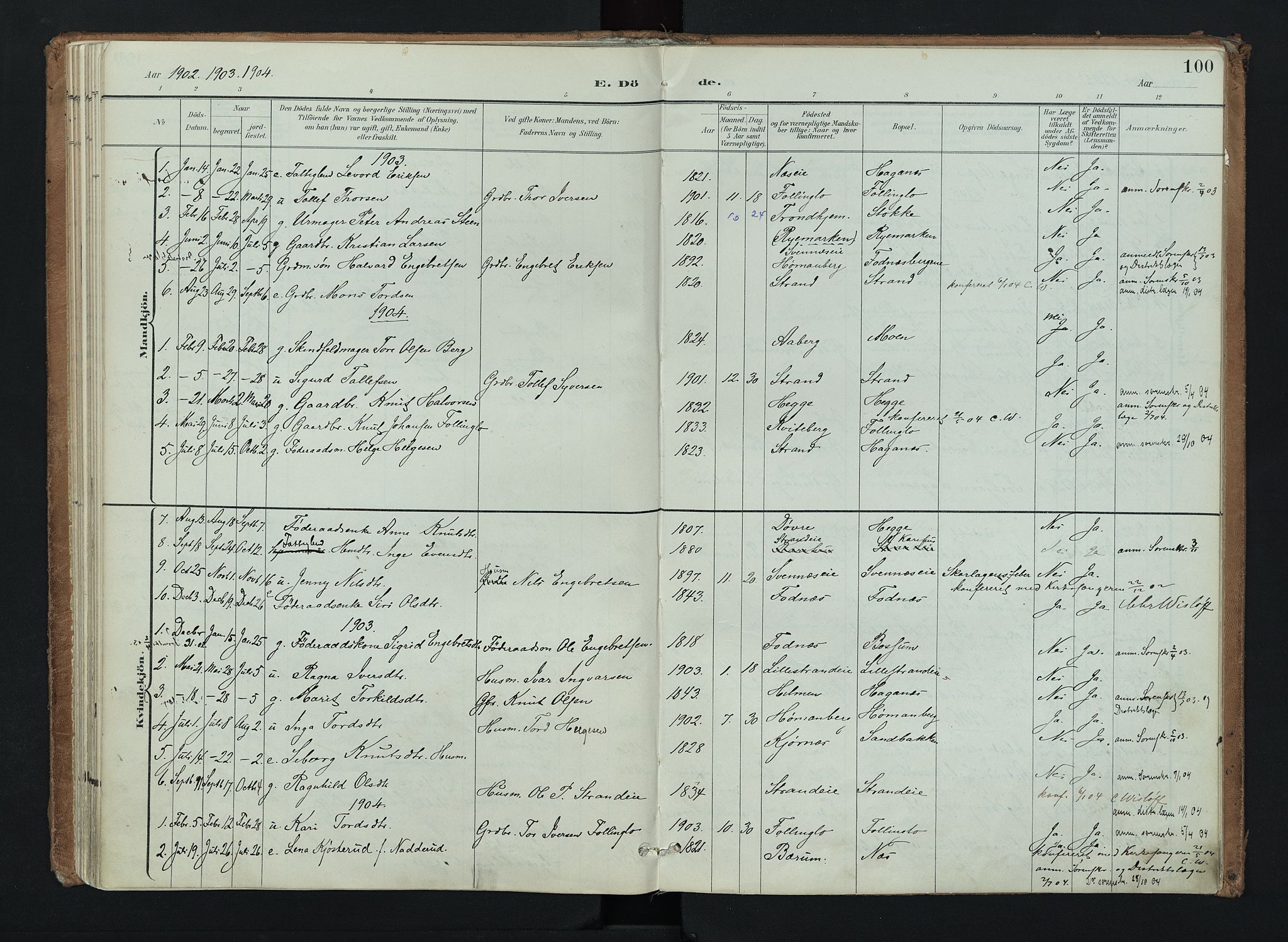Nord-Aurdal prestekontor, AV/SAH-PREST-132/H/Ha/Haa/L0016: Ministerialbok nr. 16, 1897-1925, s. 100