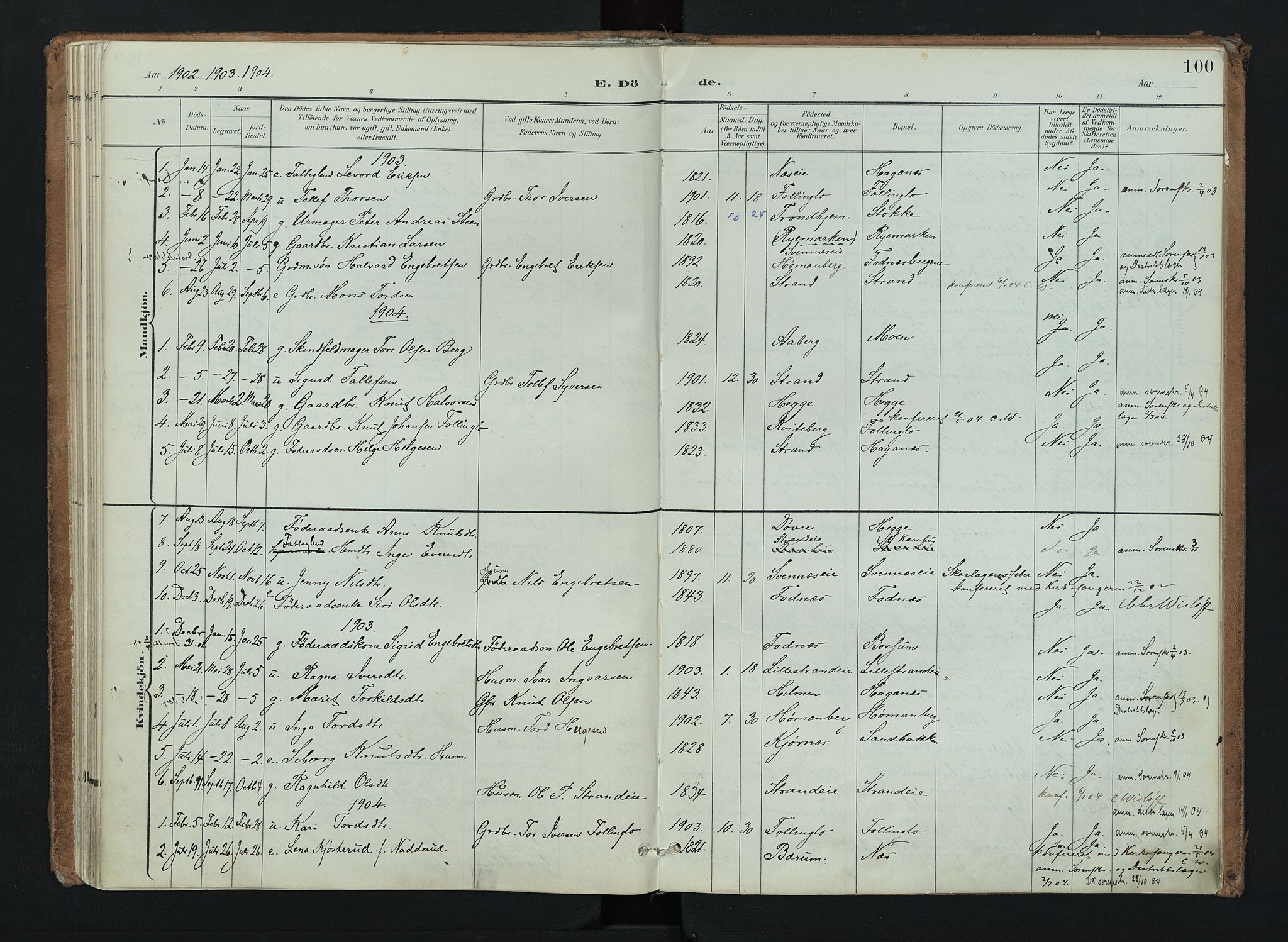 Nord-Aurdal prestekontor, SAH/PREST-132/H/Ha/Haa/L0016: Ministerialbok nr. 16, 1897-1925, s. 100