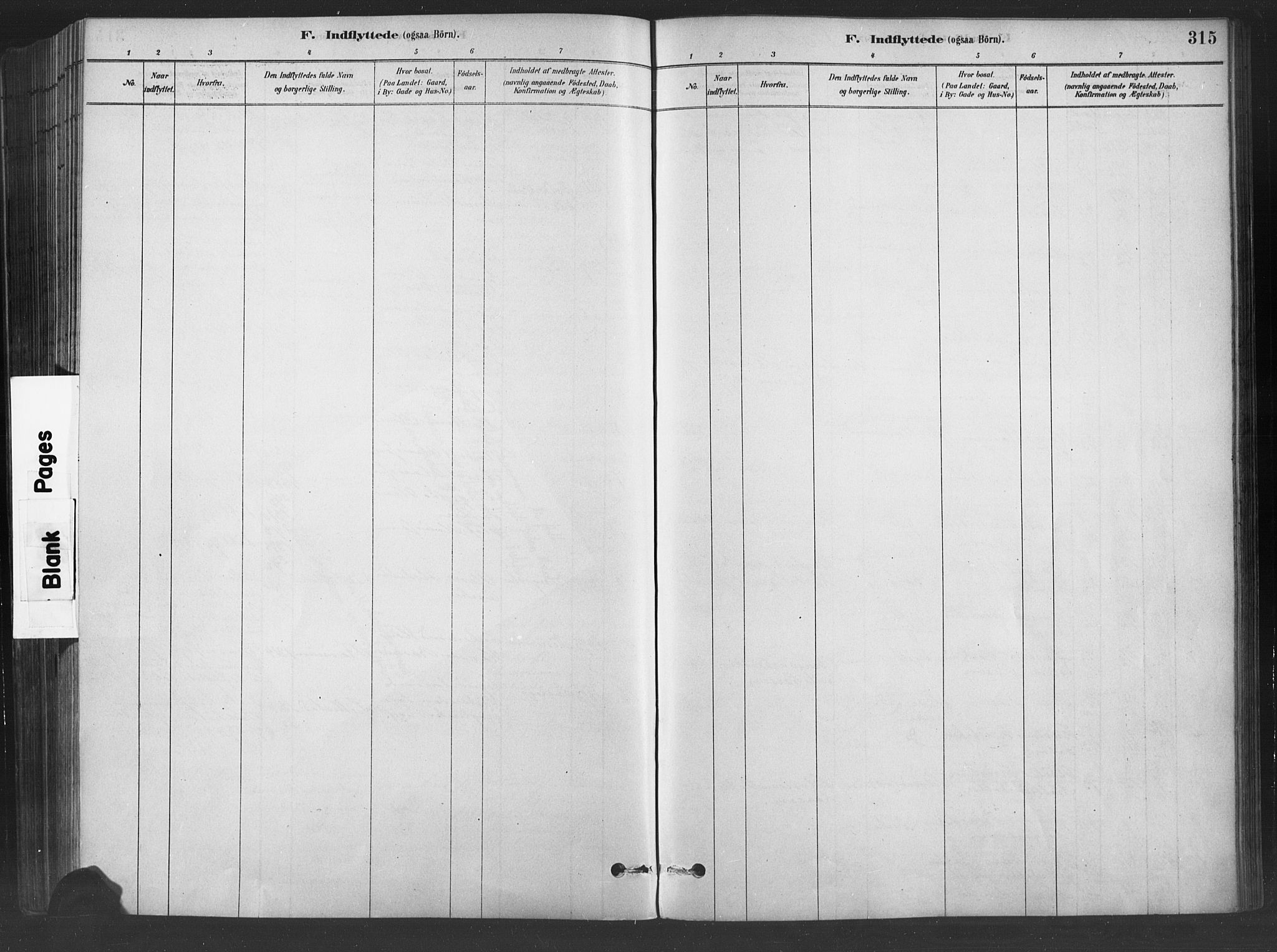 Fåberg prestekontor, SAH/PREST-086/H/Ha/Haa/L0009: Ministerialbok nr. 9, 1879-1898, s. 315