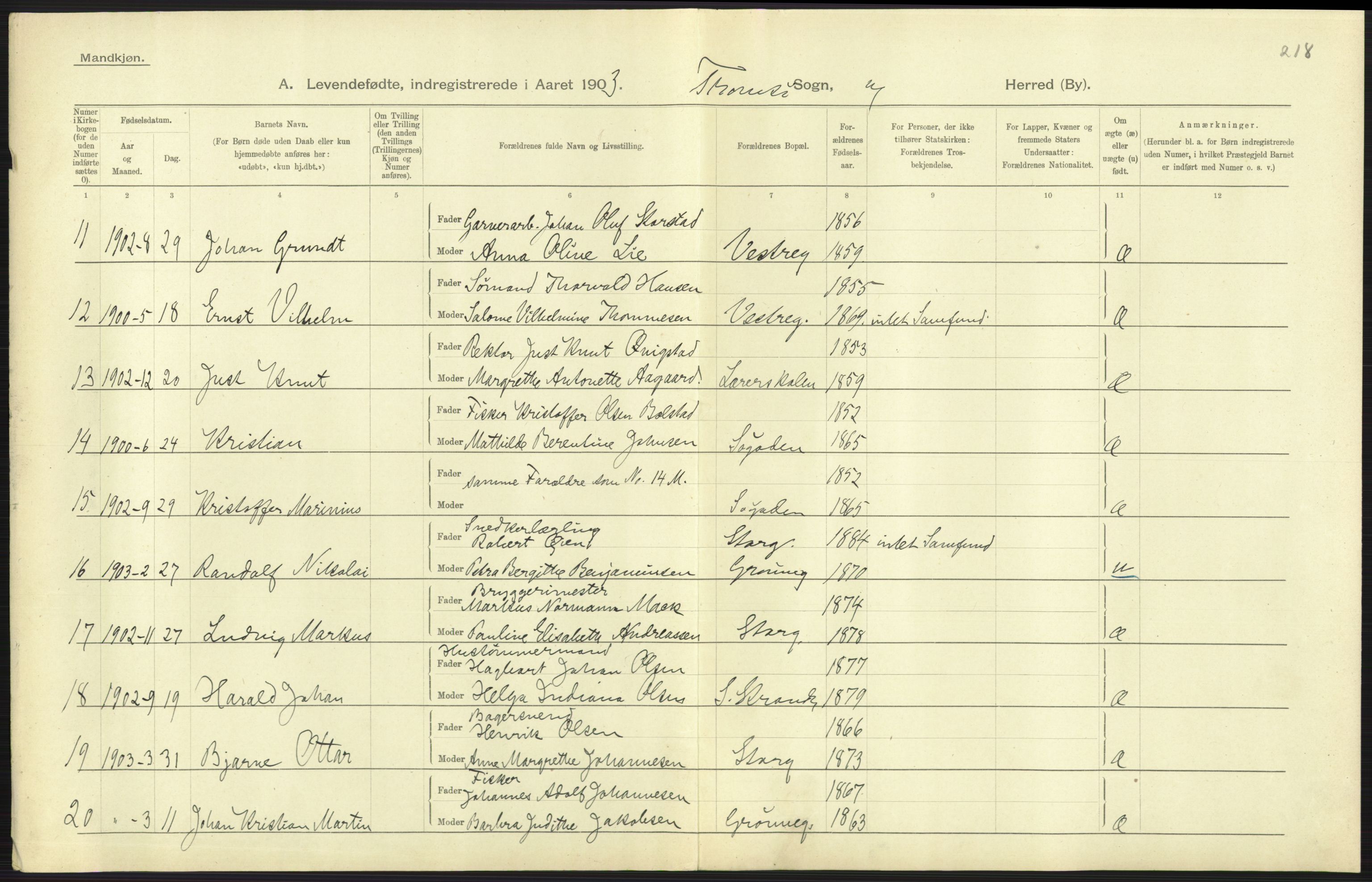 Statistisk sentralbyrå, Sosiodemografiske emner, Befolkning, RA/S-2228/D/Df/Dfa/Dfaa/L0021: Tromsø amt: Fødte, gifte, døde., 1903, s. 295