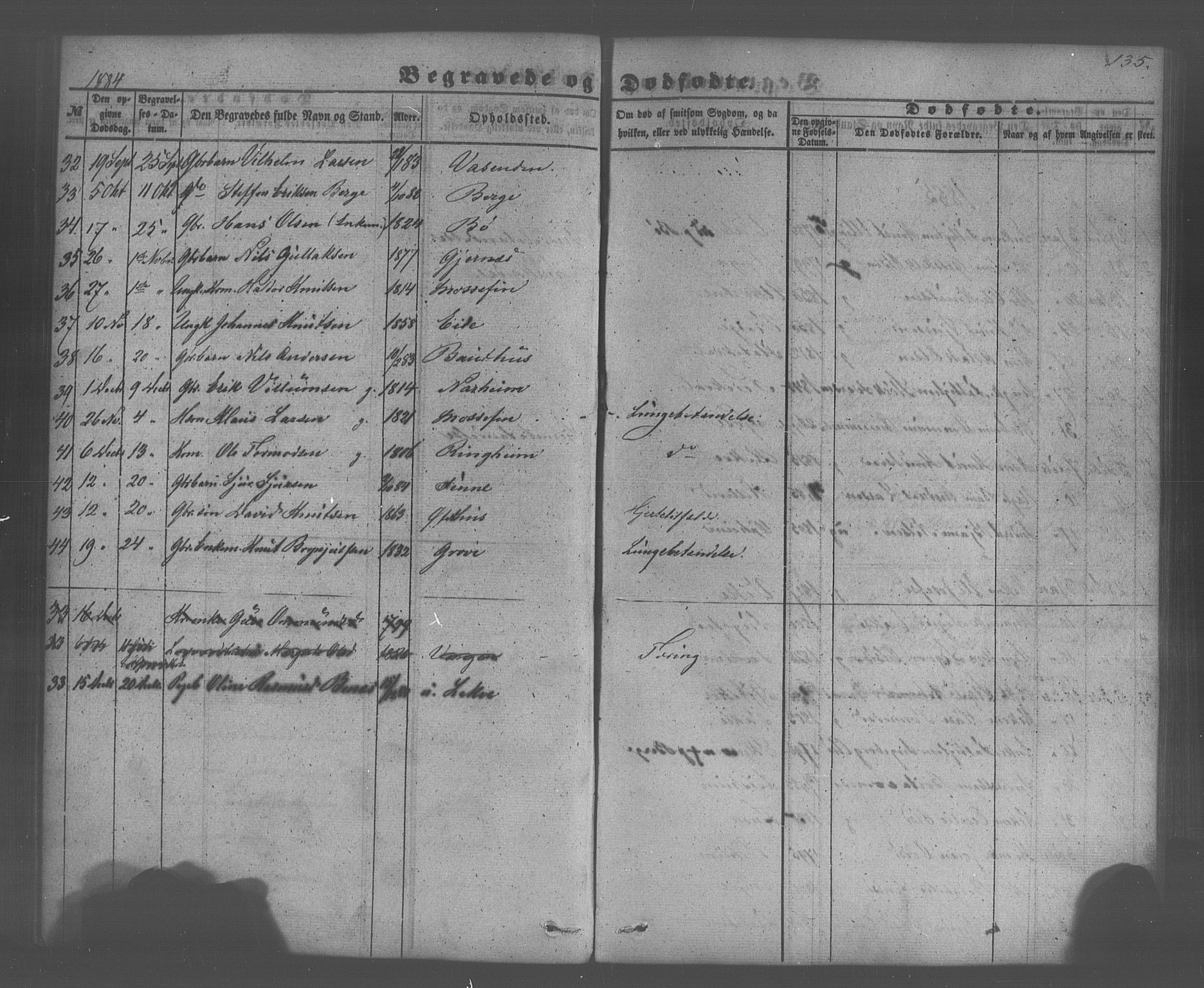 Voss sokneprestembete, AV/SAB-A-79001/H/Haa: Ministerialbok nr. A 20, 1855-1886, s. 135
